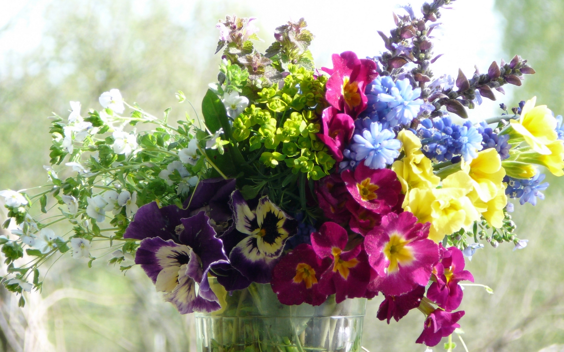 Free download wallpaper Plants, Flowers, Bouquets on your PC desktop. 