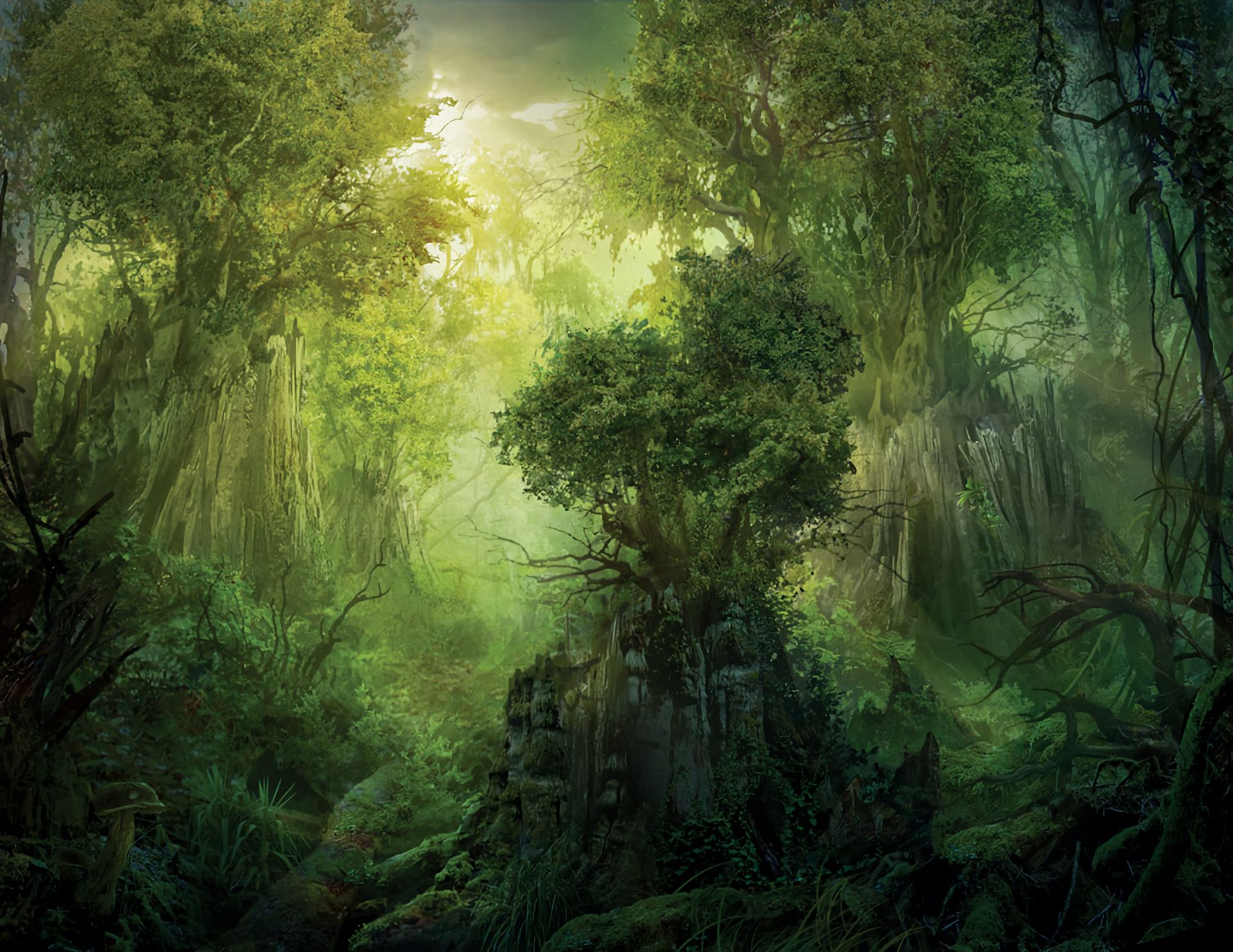 1077691 скачать обои игры, фантастика, лес, дерево, магия: сбор - заставки и картинки бесплатно