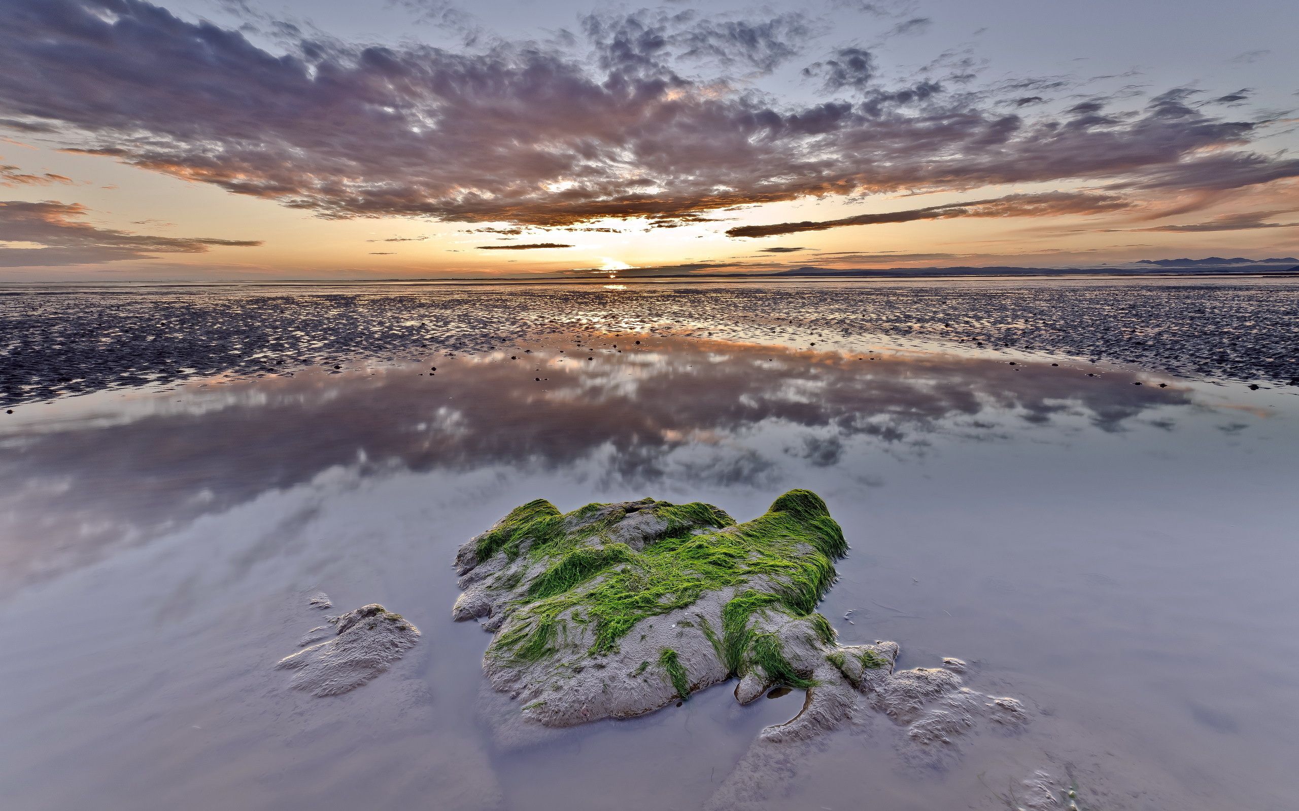 rock, nature, water, sky, twilight, clouds, dusk, stone, evening, moss, reefs, puddle, low tide