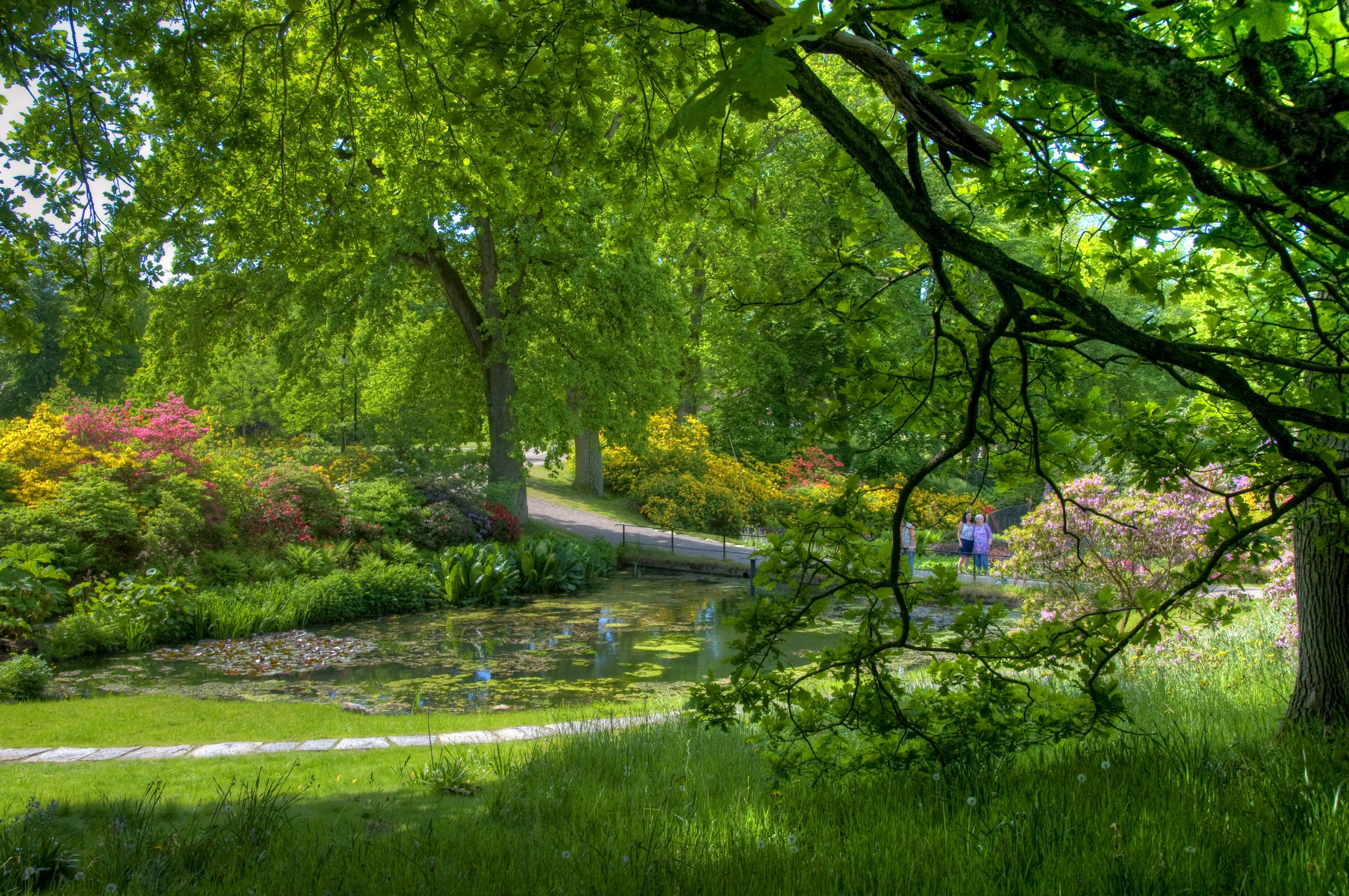 garden, people, nature, trees, green, pond, serenity