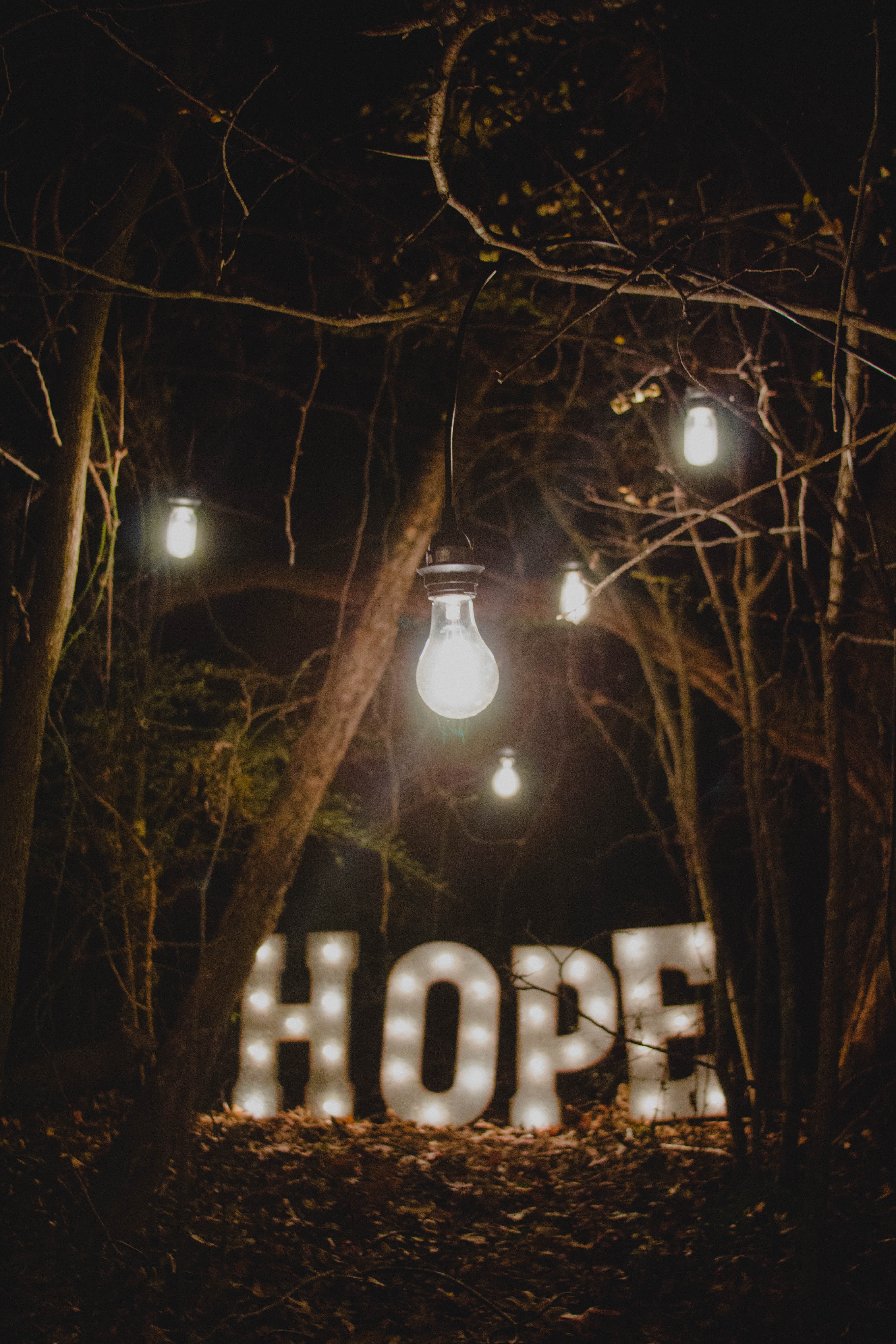 hope, words, forest, lamp