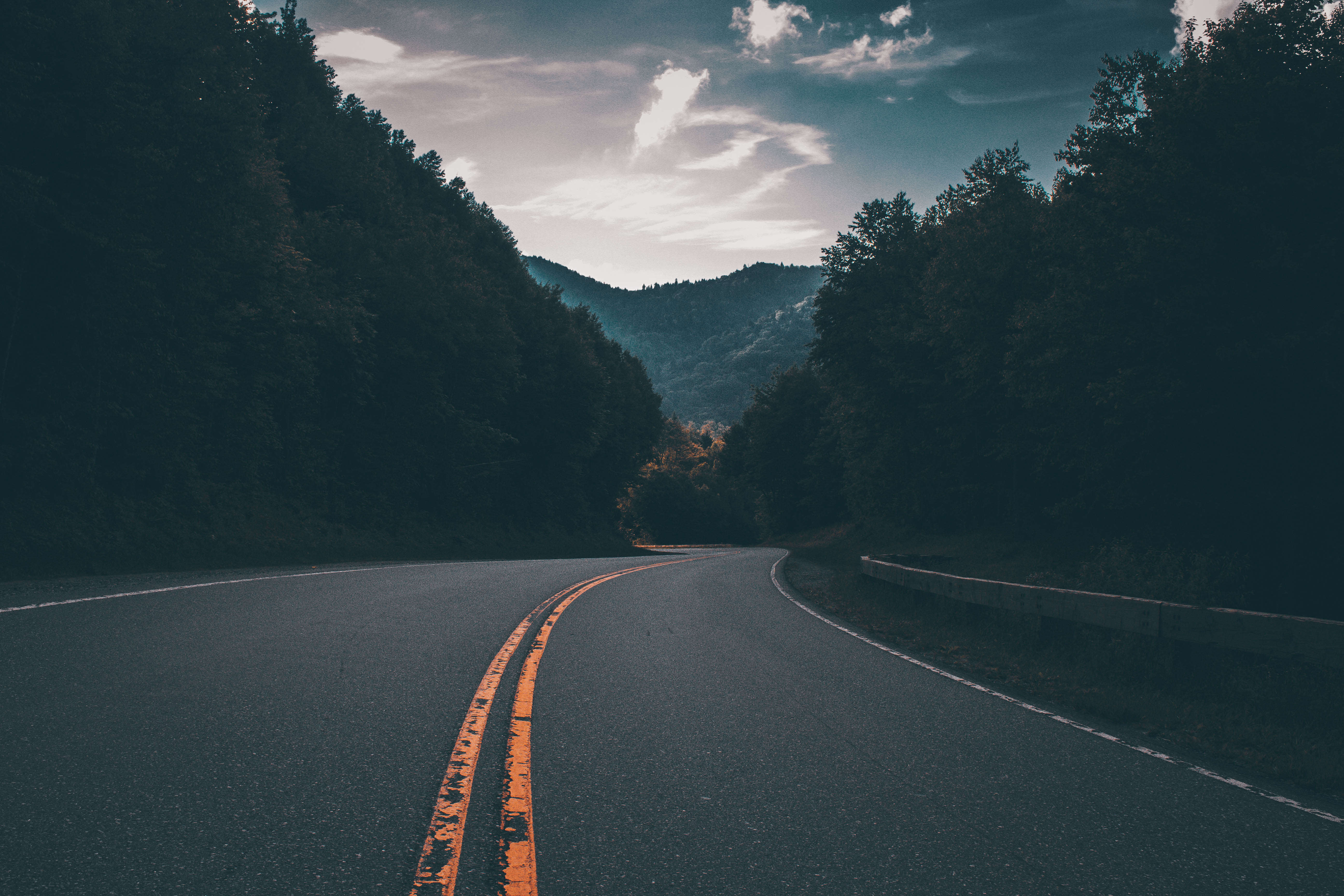 iPhone Wallpapers nature, trees, road, markup Turn