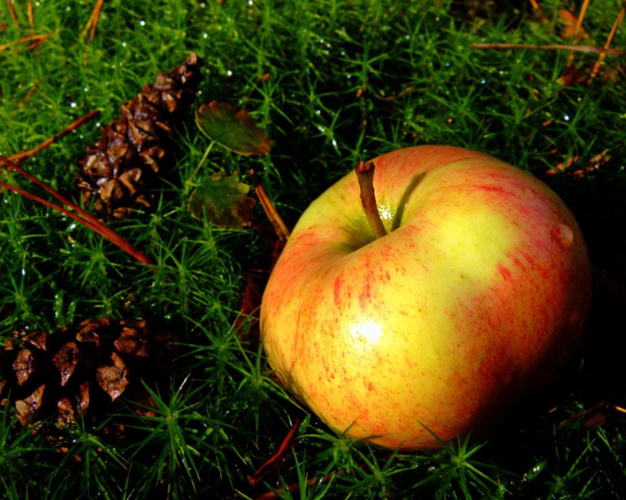 84585 Screensavers and Wallpapers Apple for phone. Download food, grass, apple, fruit, ripe pictures for free