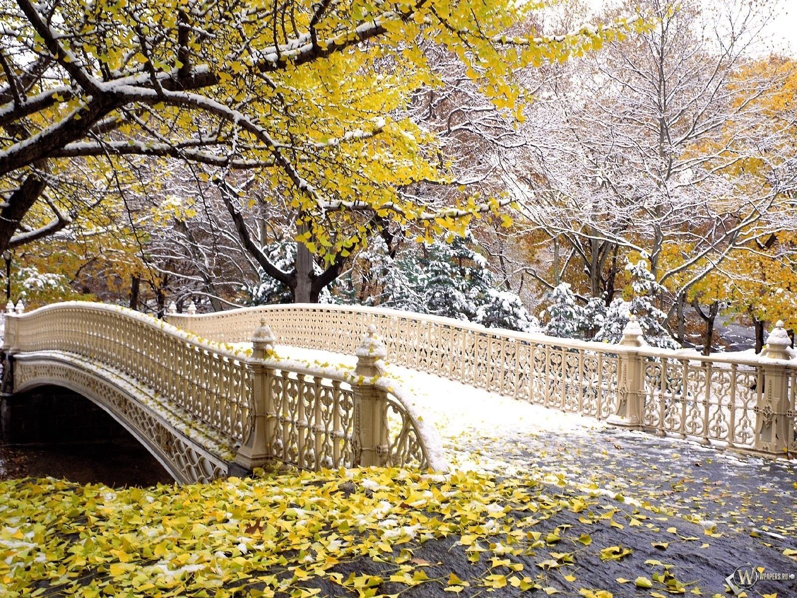 nature, autumn, leaves, snow, park, bridge
