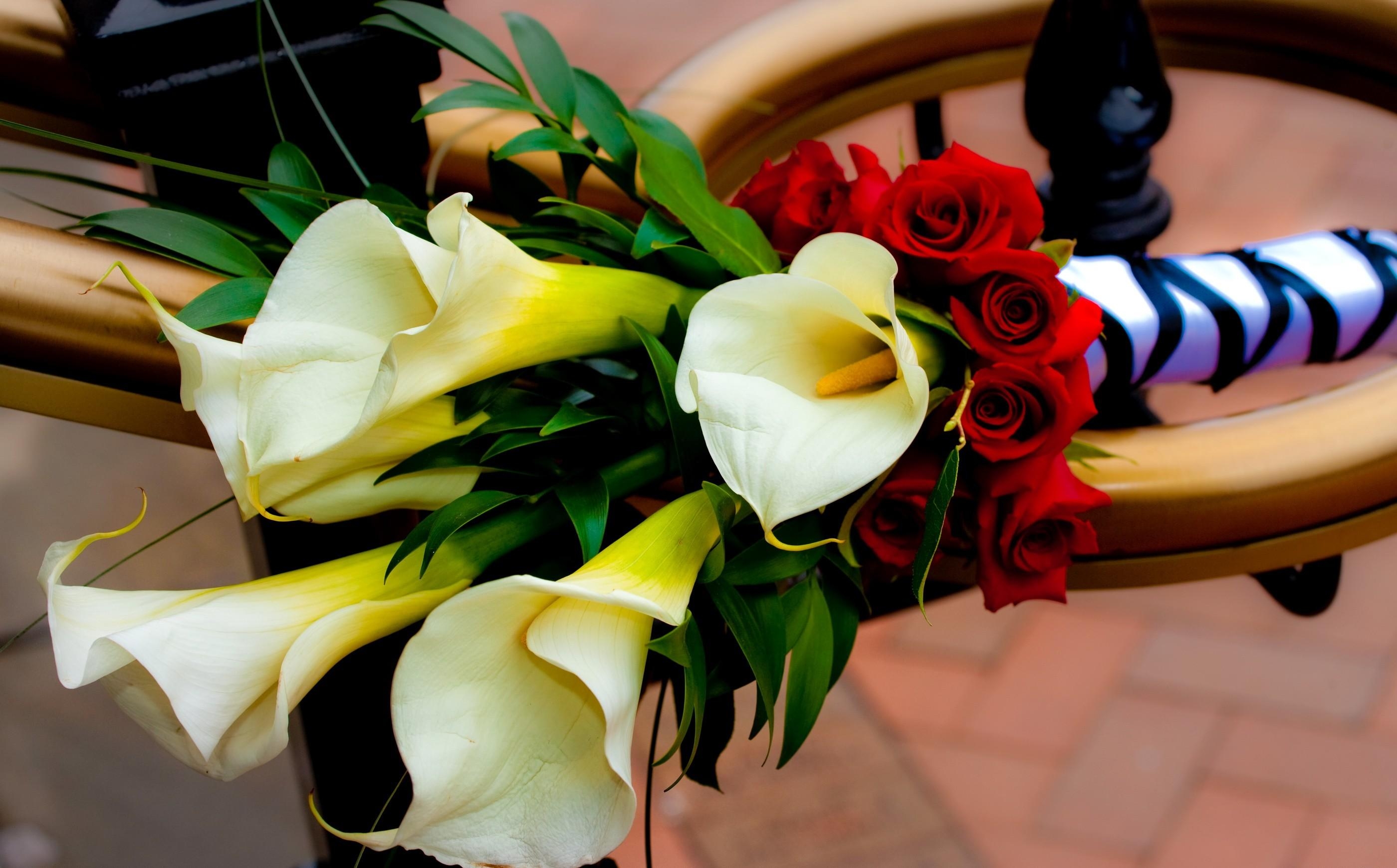 68607 Hintergrundbilder und Callas Bilder auf dem Desktop. Laden Sie hübsch, strauß, roses, bouquet Bildschirmschoner kostenlos auf den PC herunter