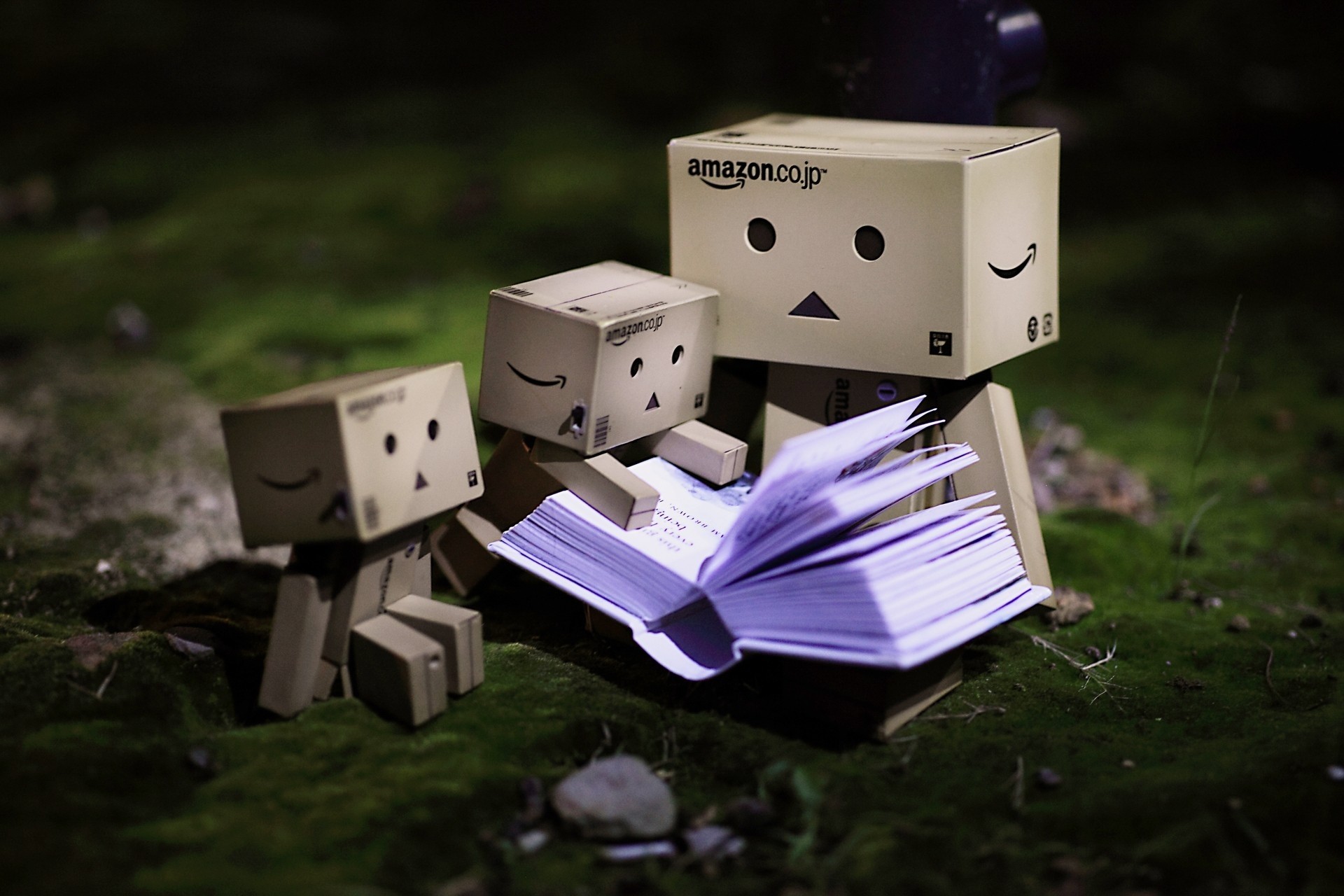 149064 download wallpaper book, miscellanea, miscellaneous, danbo, cardboard robot, small, reading screensavers and pictures for free