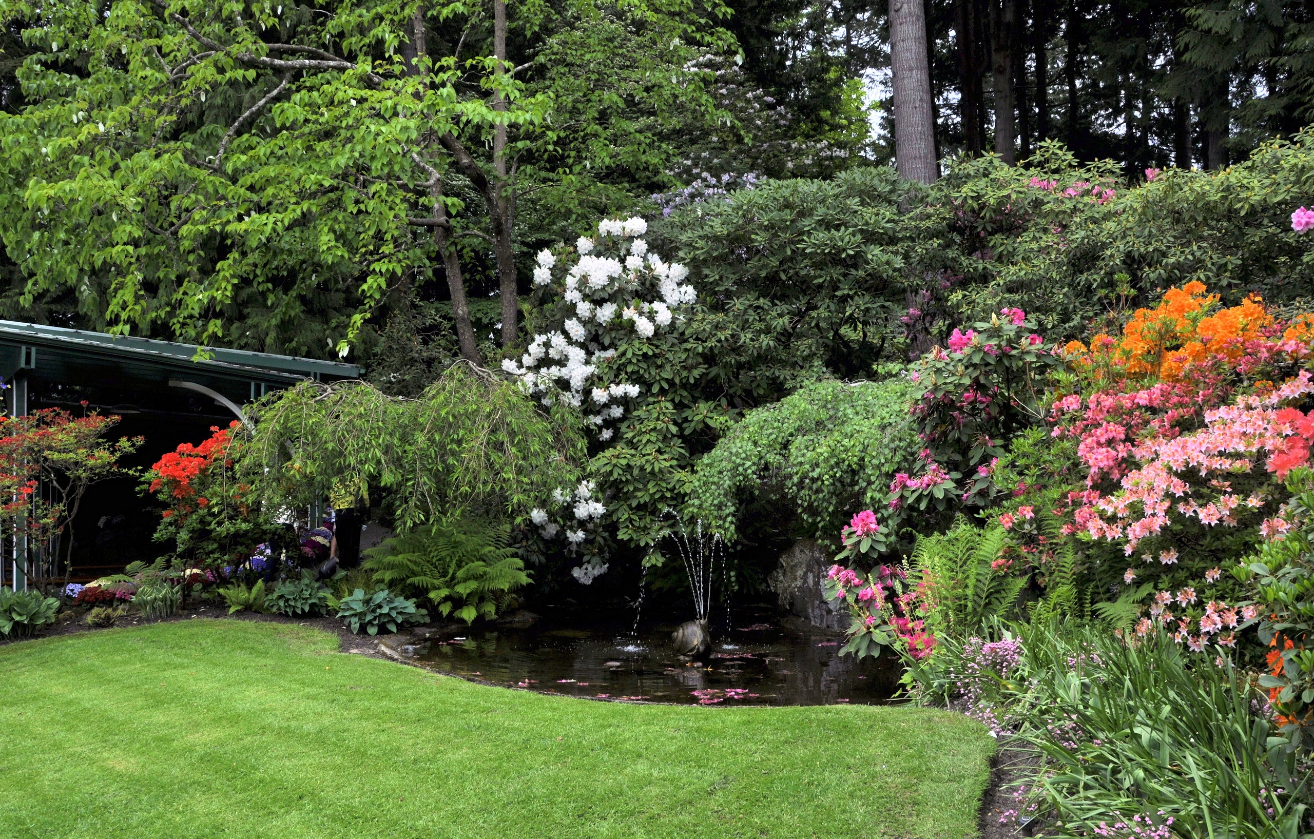 nature, flowers, trees, fountain, garden, lawn