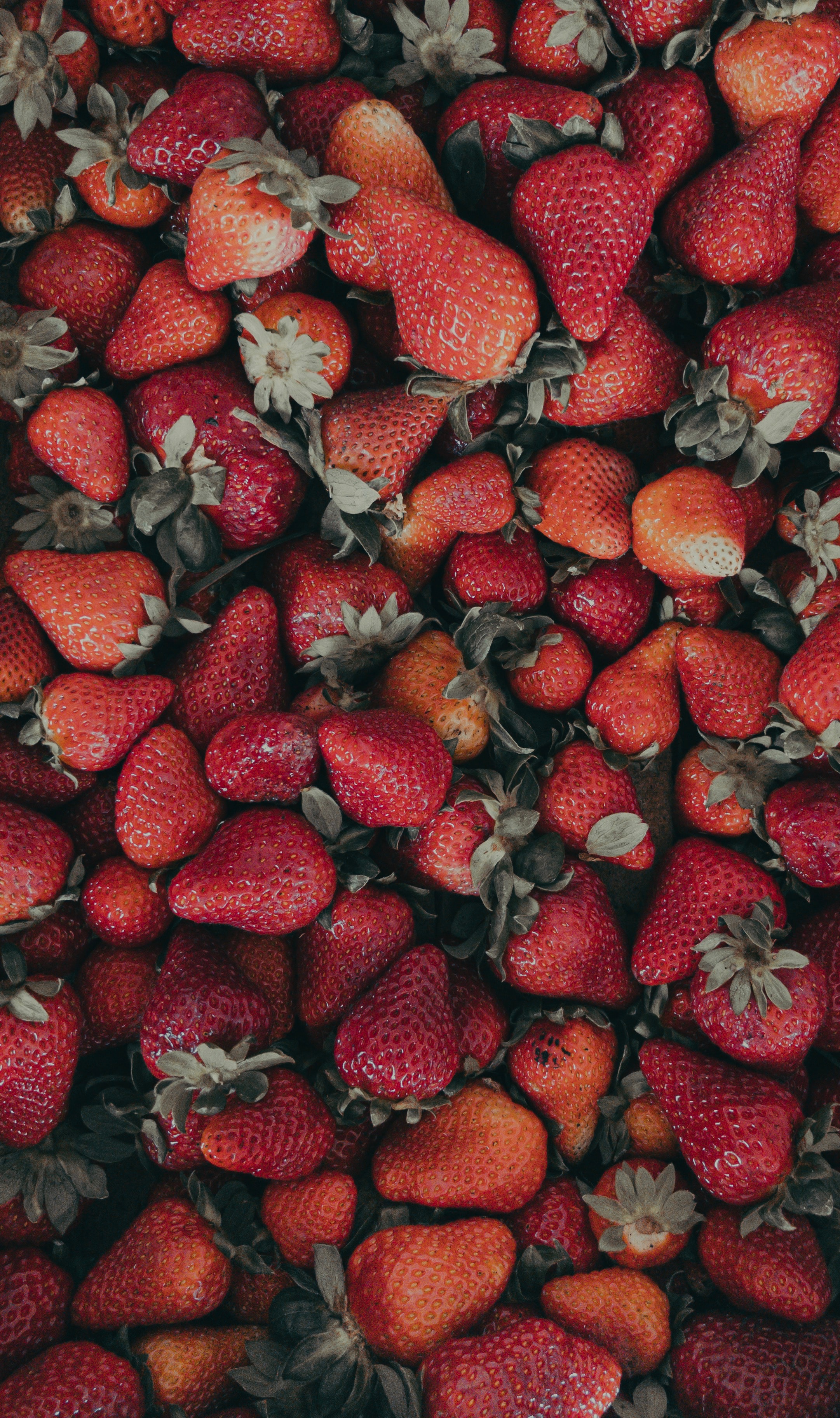 ripe, food, strawberry, berries, red, fresh Smartphone Background