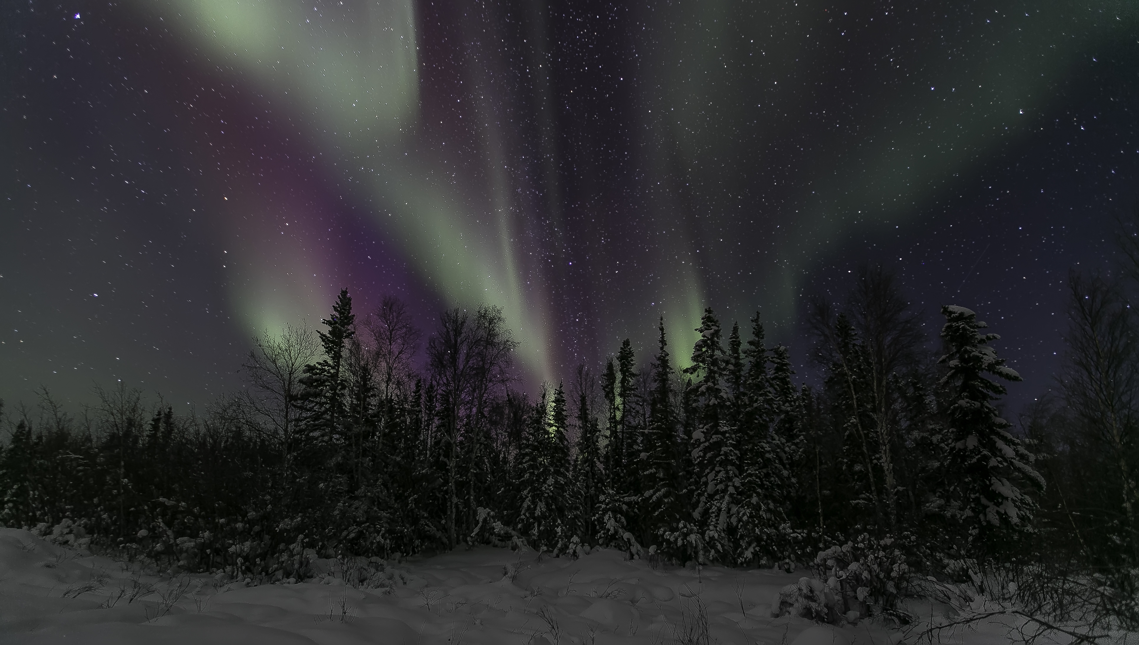 nature, earth, aurora borealis, night, sky, start, winter