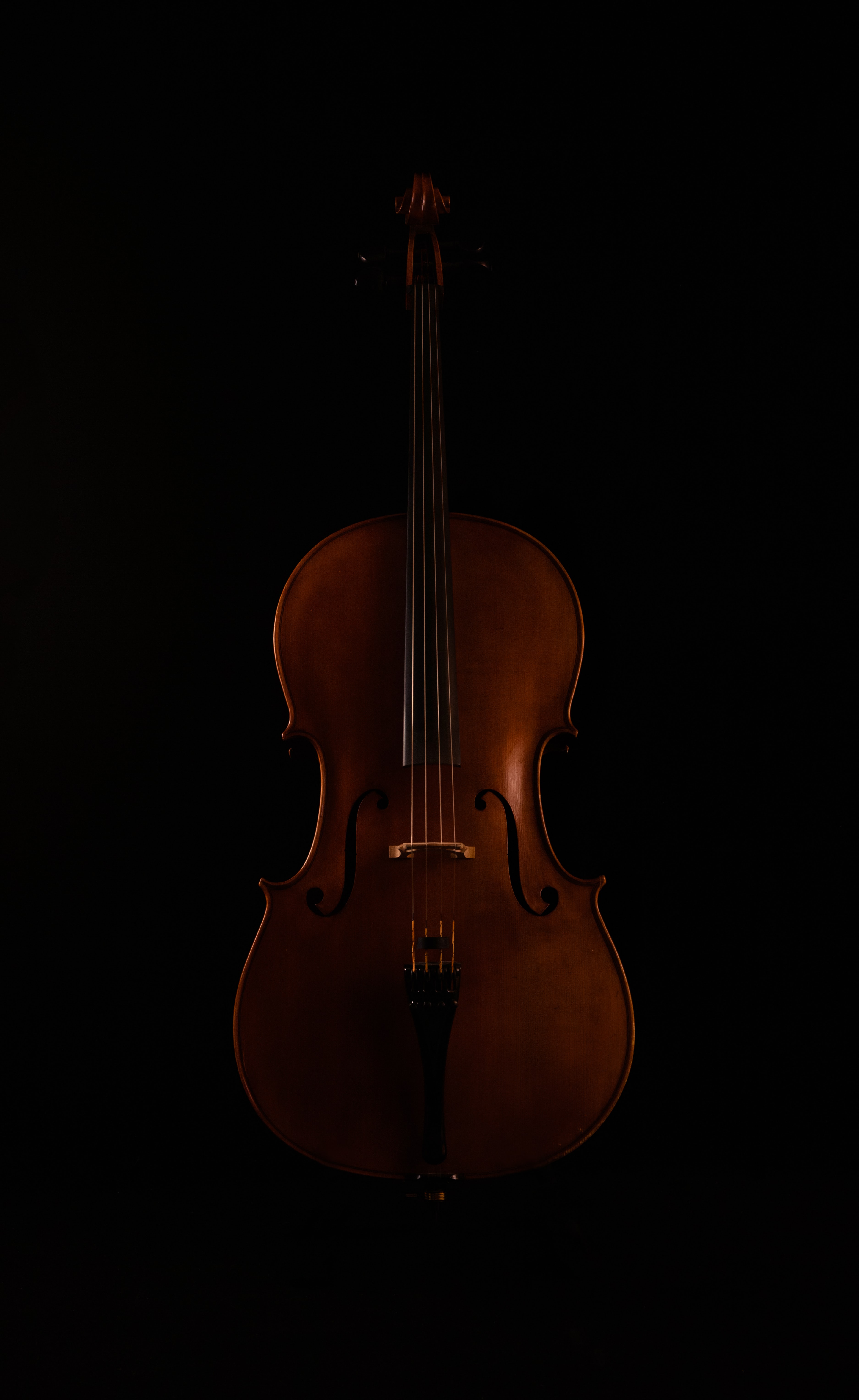 136117 download wallpaper music, dark, musical instrument, violin screensavers and pictures for free