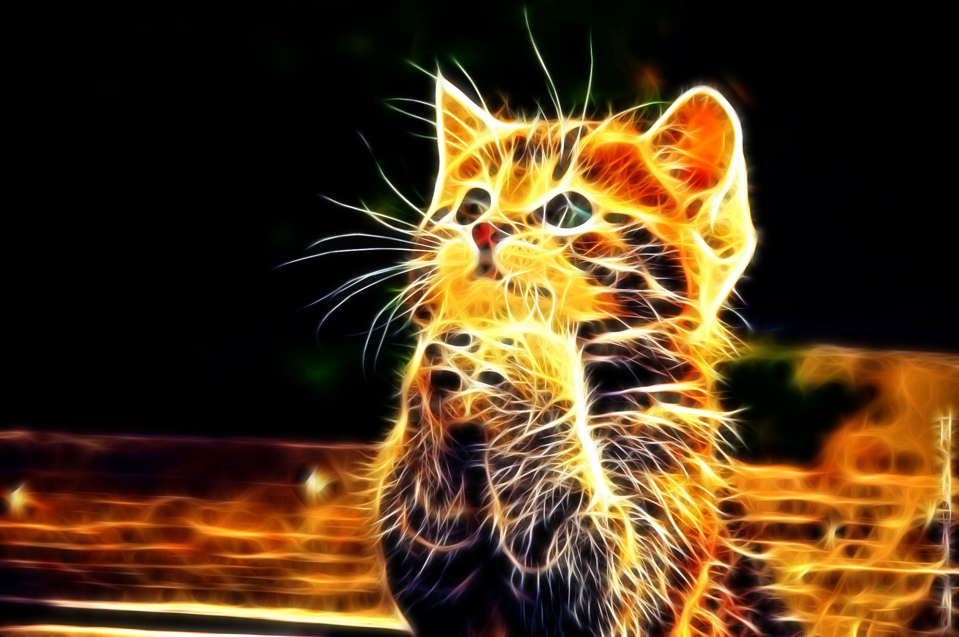 Latest Mobile Wallpaper sweetheart, paws, abstract, kitten