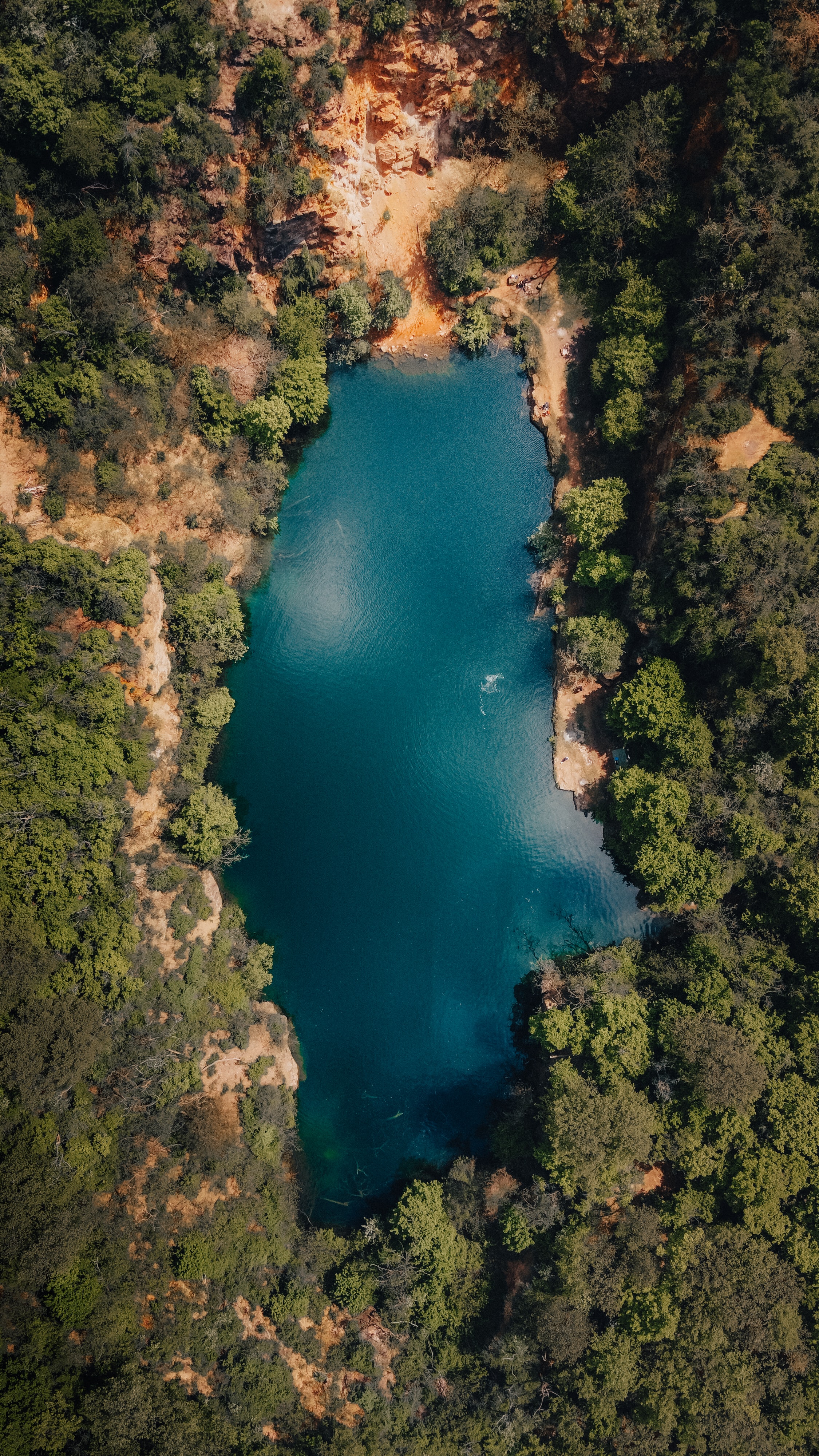 forest, nature, trees, view from above, lake HD wallpaper