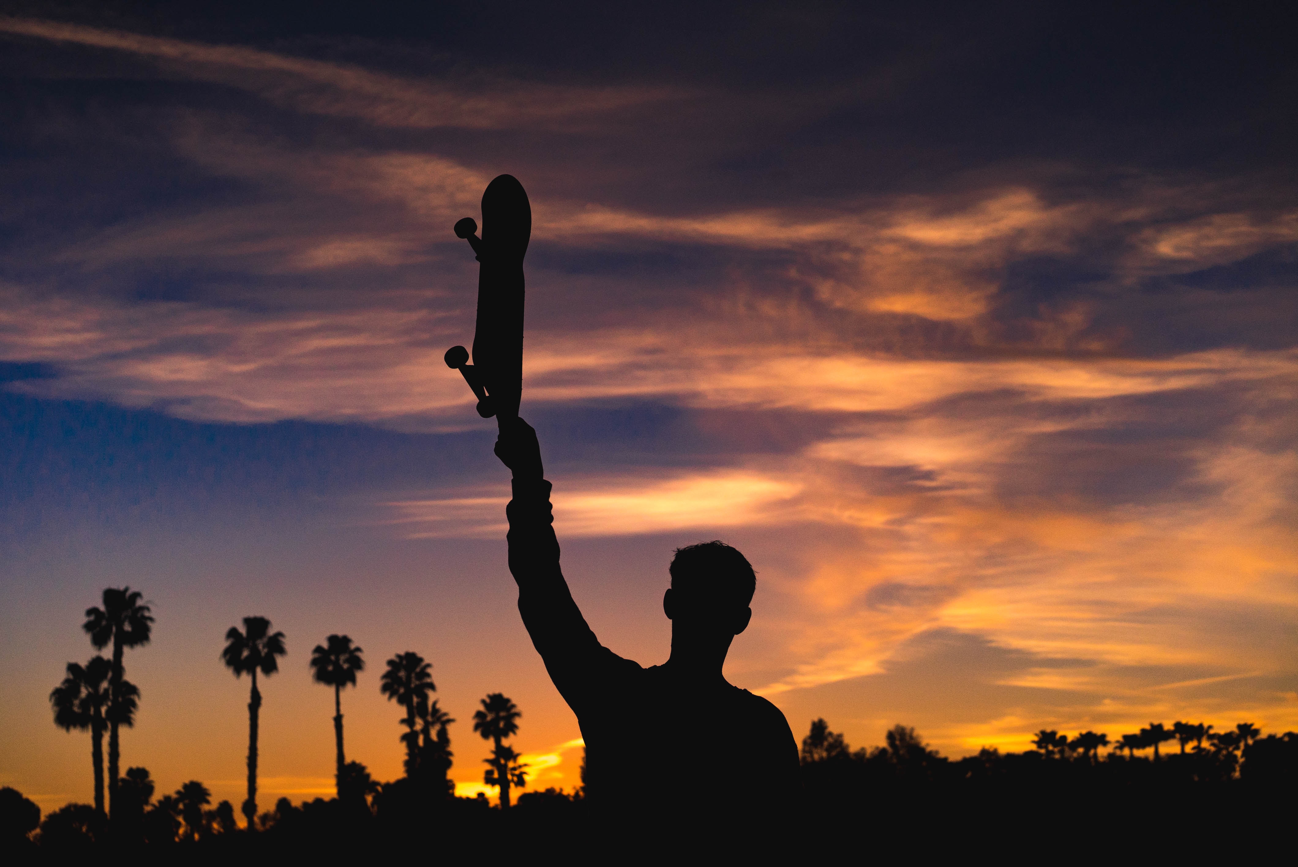 sports, night, silhouette, skateboard Free Stock Photo