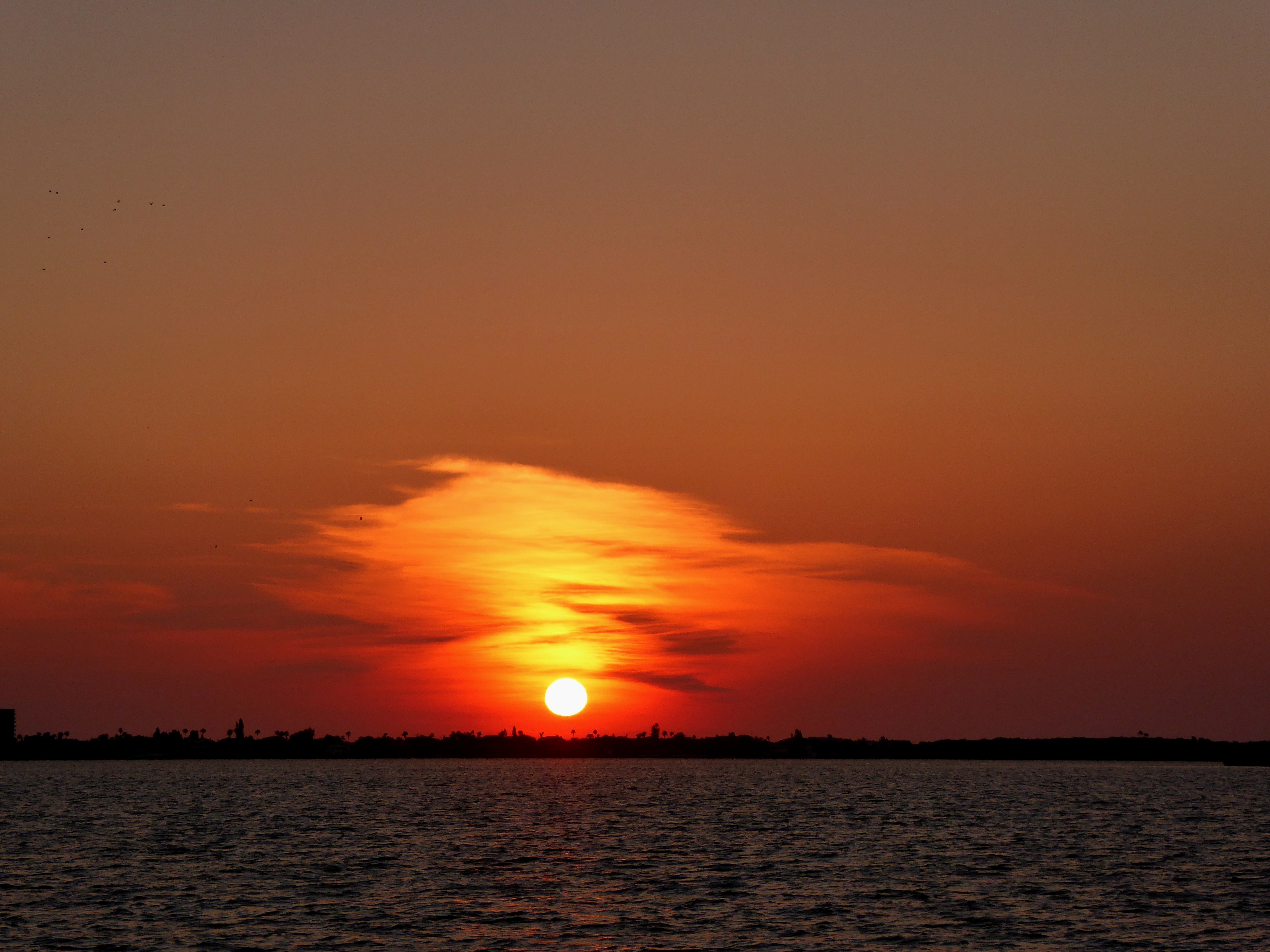 139488 Hintergrundbilder und Florida Bilder auf dem Desktop. Laden Sie natur, sunset, horizont, strand Bildschirmschoner kostenlos auf den PC herunter