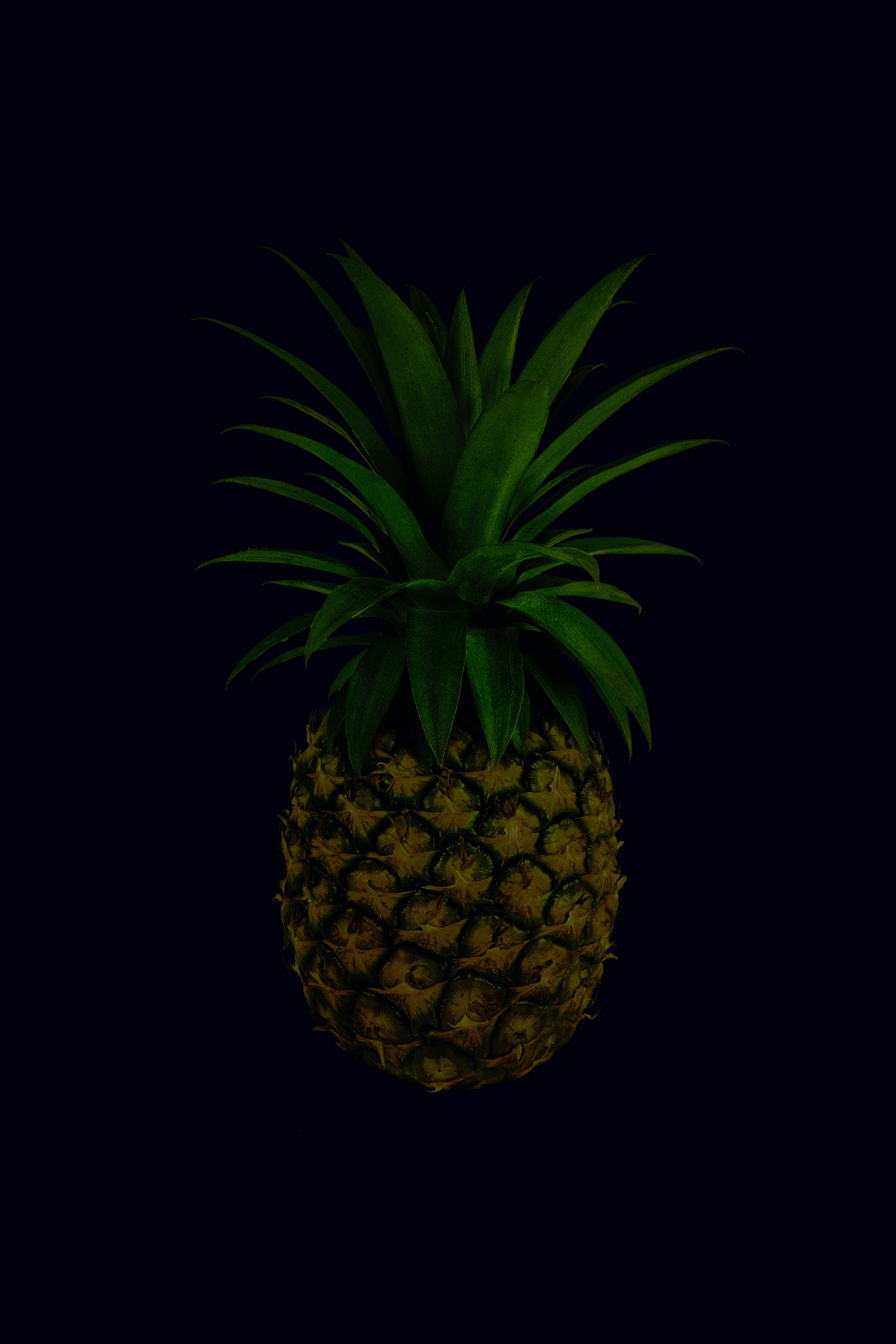 110734 Bild herunterladen ananas, lebensmittel, blätter, die frucht, frucht, tropisch, tropischen, eine ananas - Hintergrundbilder und Bildschirmschoner kostenlos