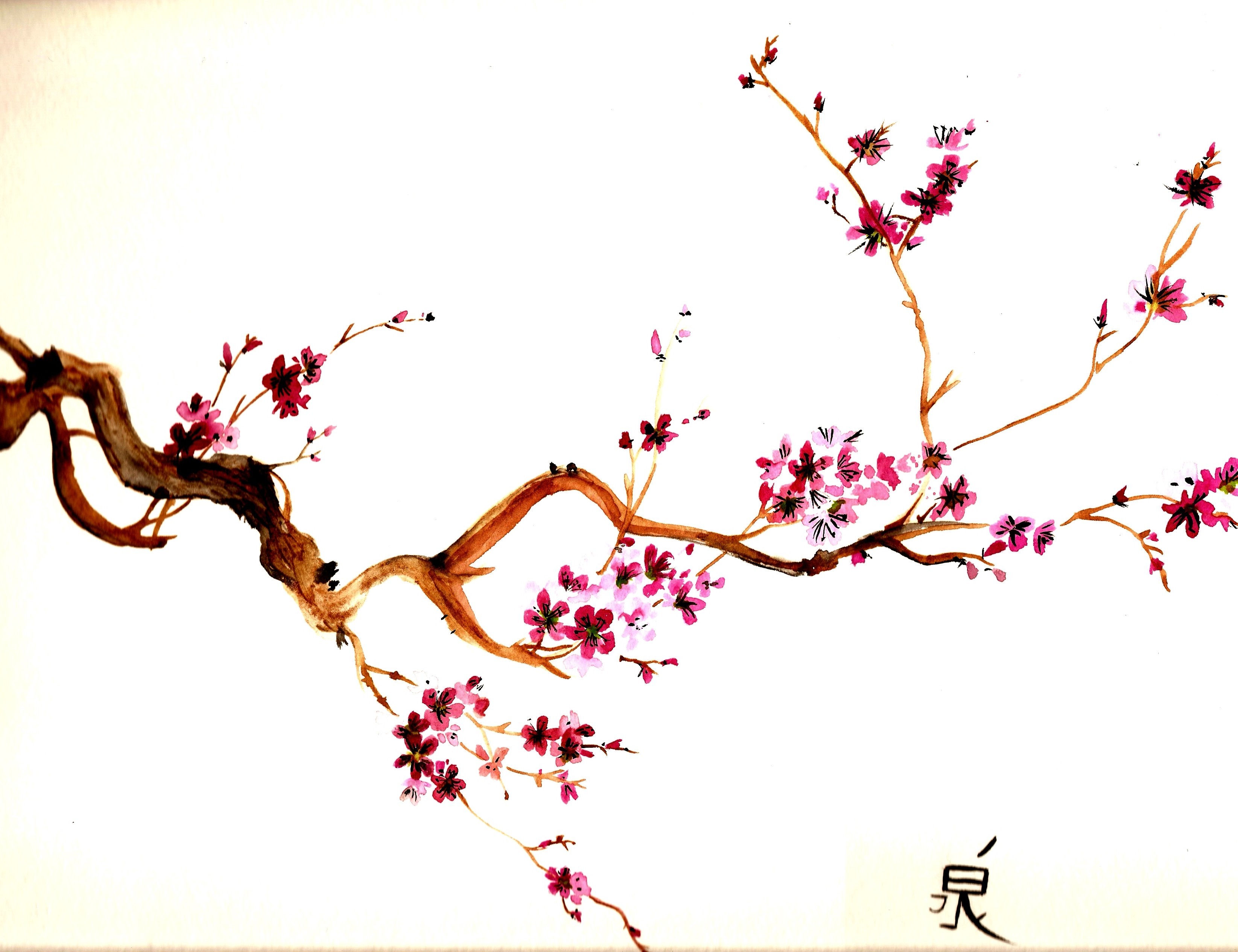 Handy-Wallpaper Asien, Pflanzen, Blumen, Bilder, Sakura kostenlos herunterladen.