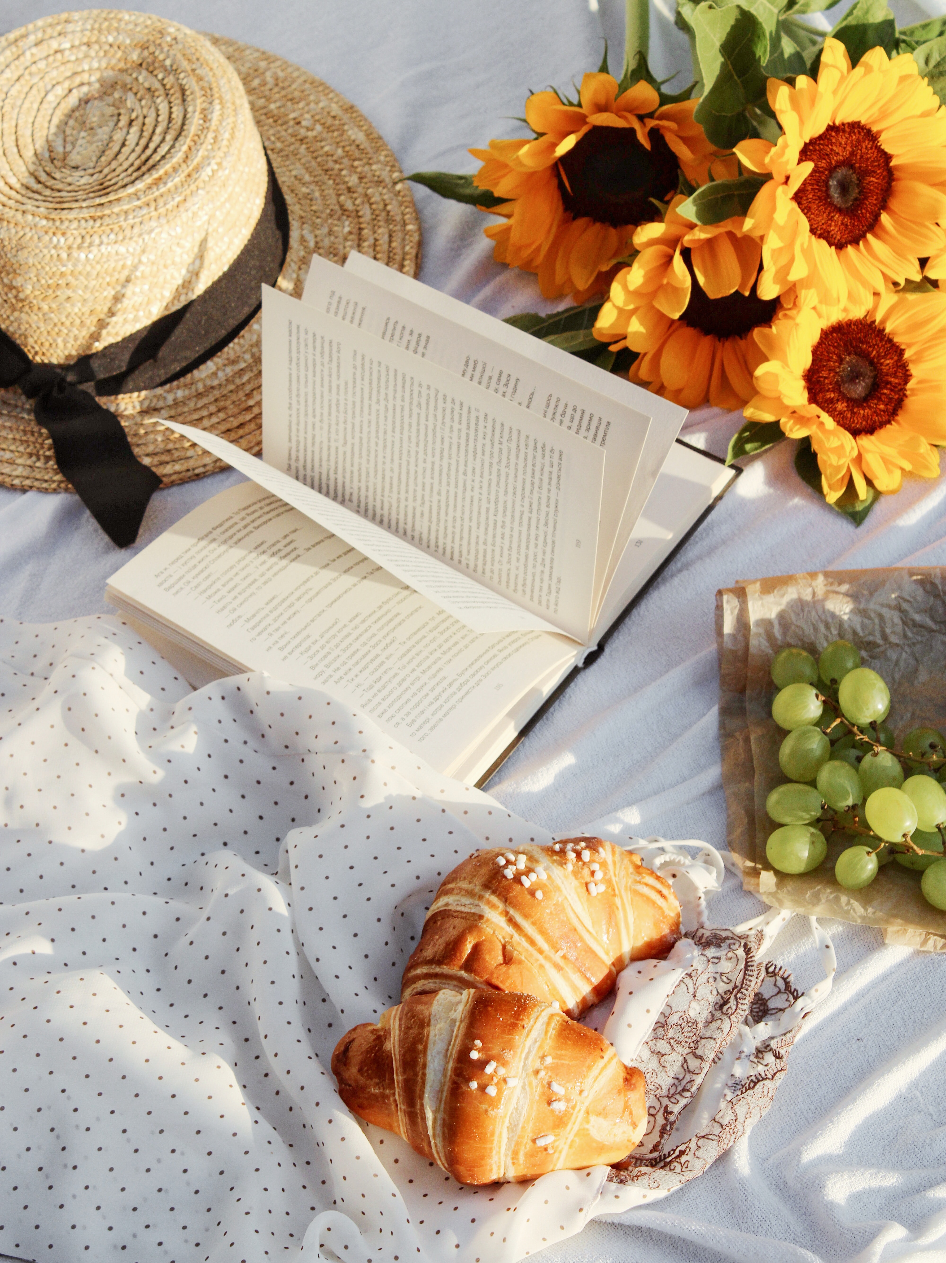 book, hat, miscellanea, miscellaneous, picnic, croissant Free Stock Photo