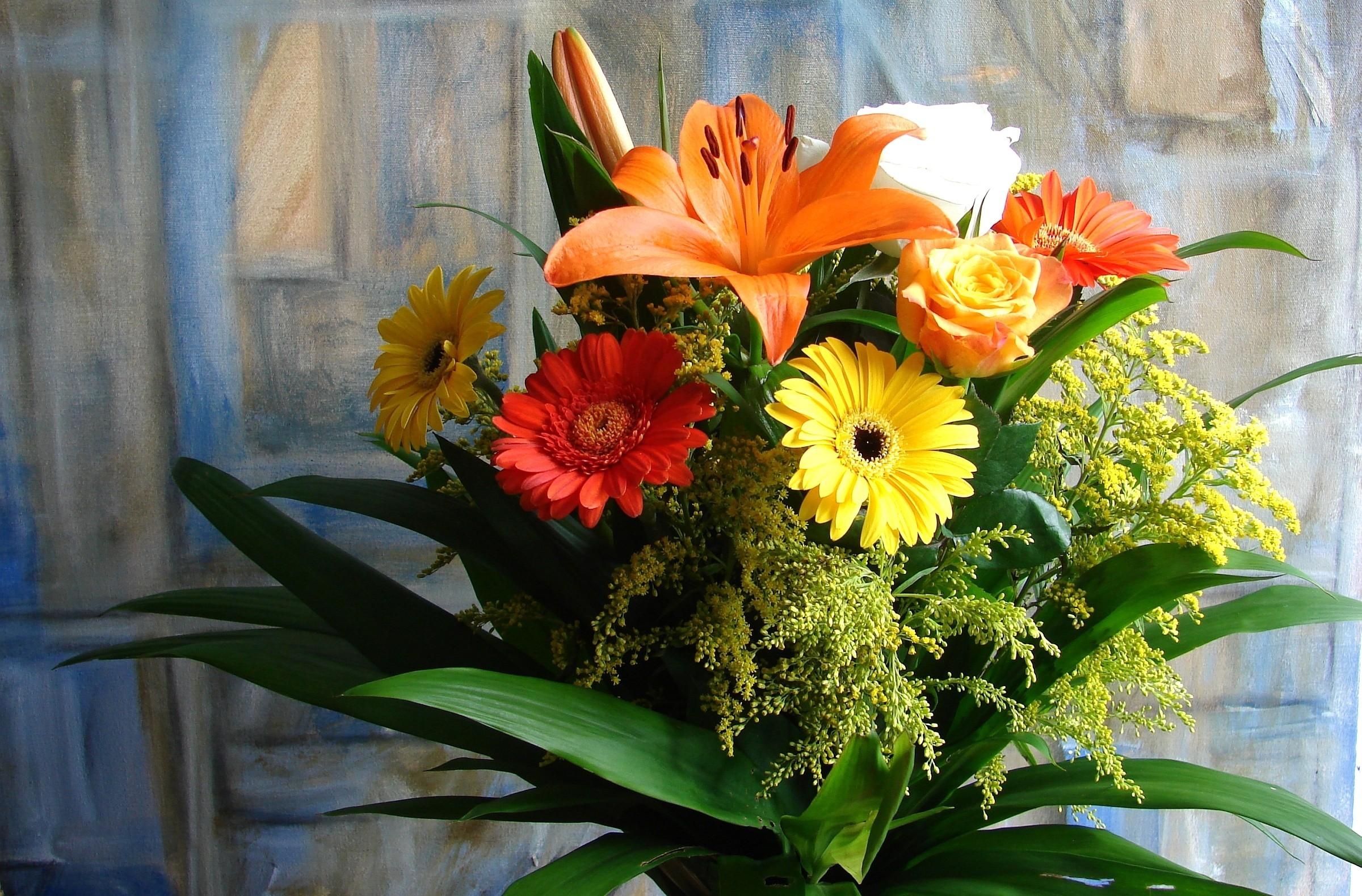 Free HD roses, flowers, lilies, gerberas, picture, bouquet, composition