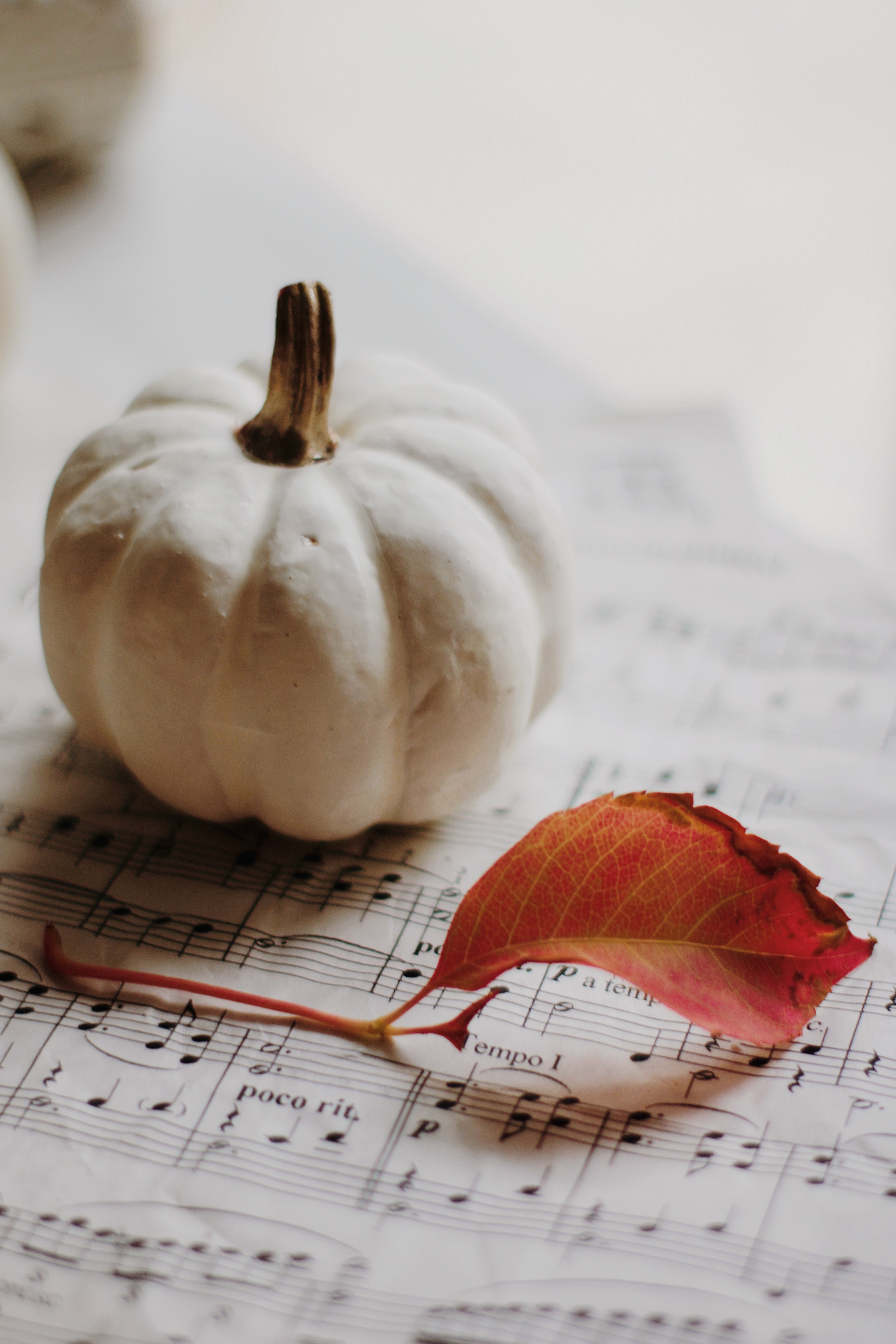 75458 Screensavers and Wallpapers Notes for phone. Download music, autumn, pumpkin, miscellanea, miscellaneous, sheet, leaf, notes pictures for free