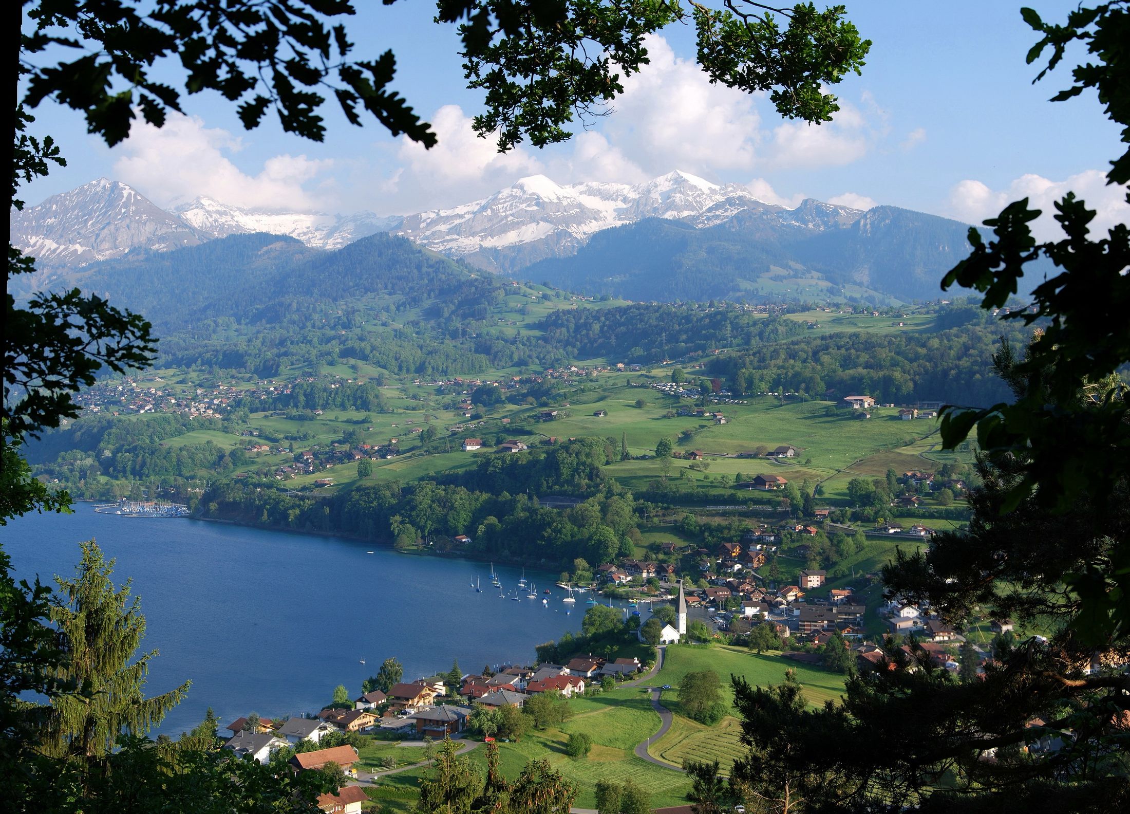 Рассмотрите фото швейцарских альп отметьте