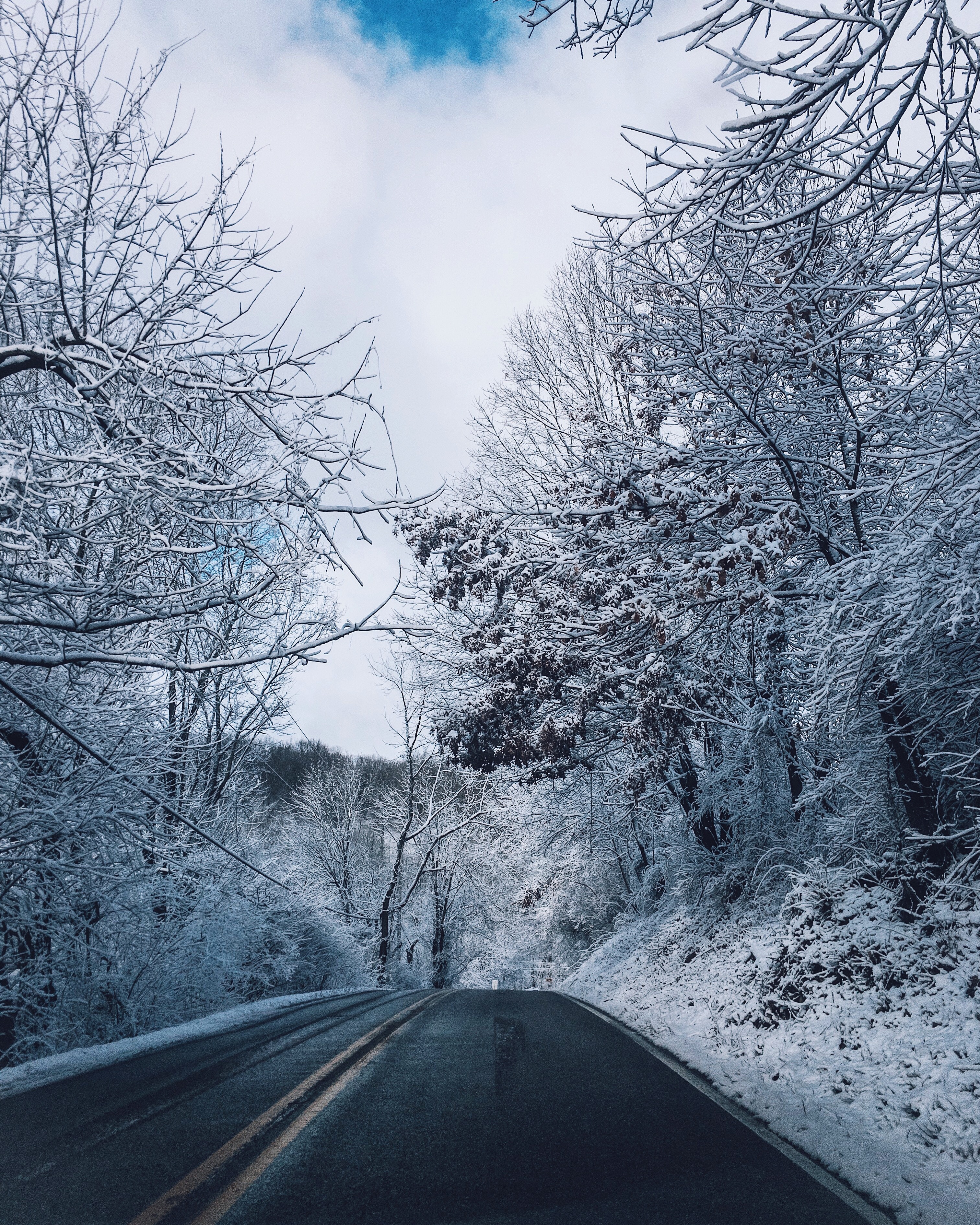 road, nature, markup, trees, winter, snow