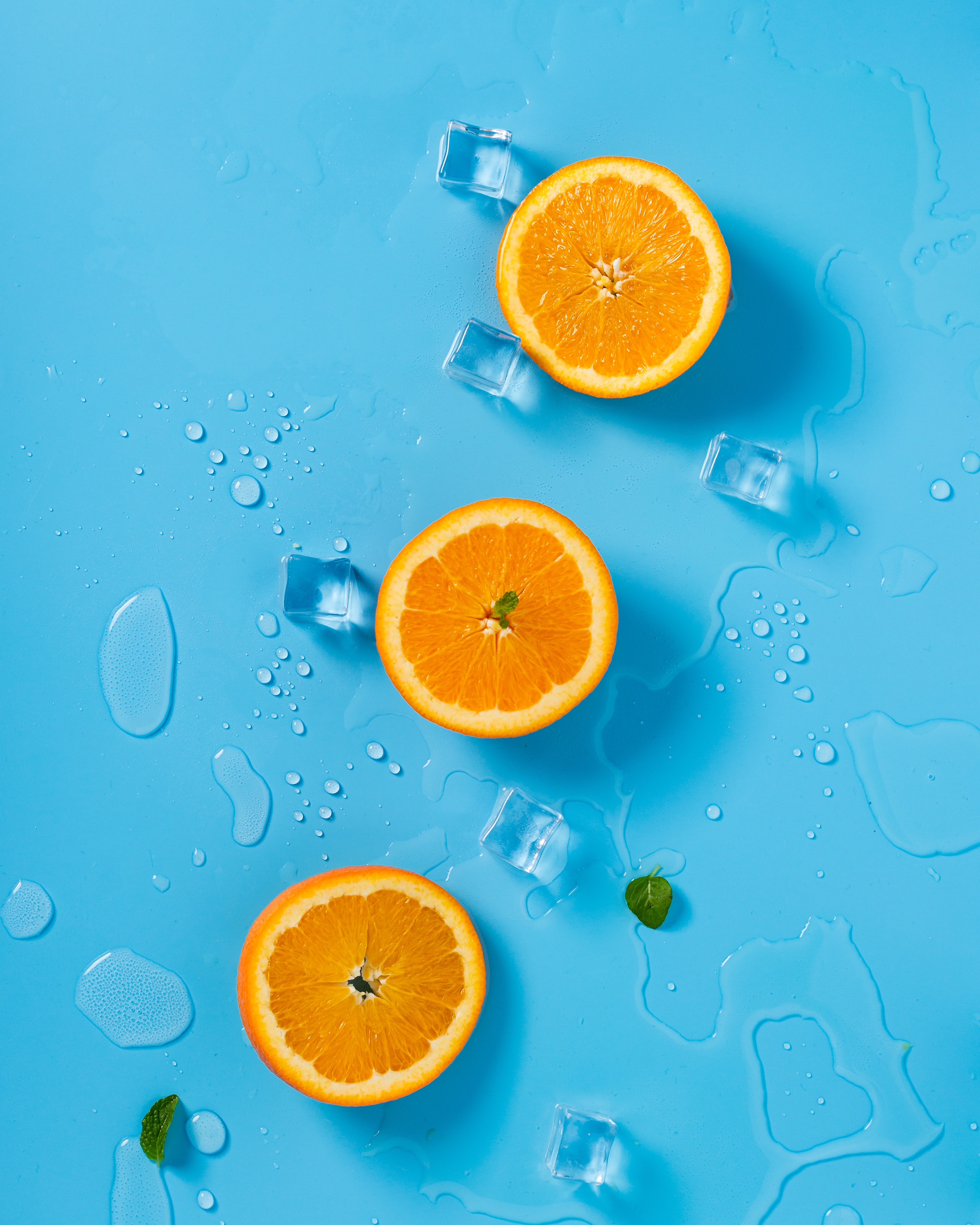food, orange, ice, rings, citrus, mint, melting wallpaper for mobile