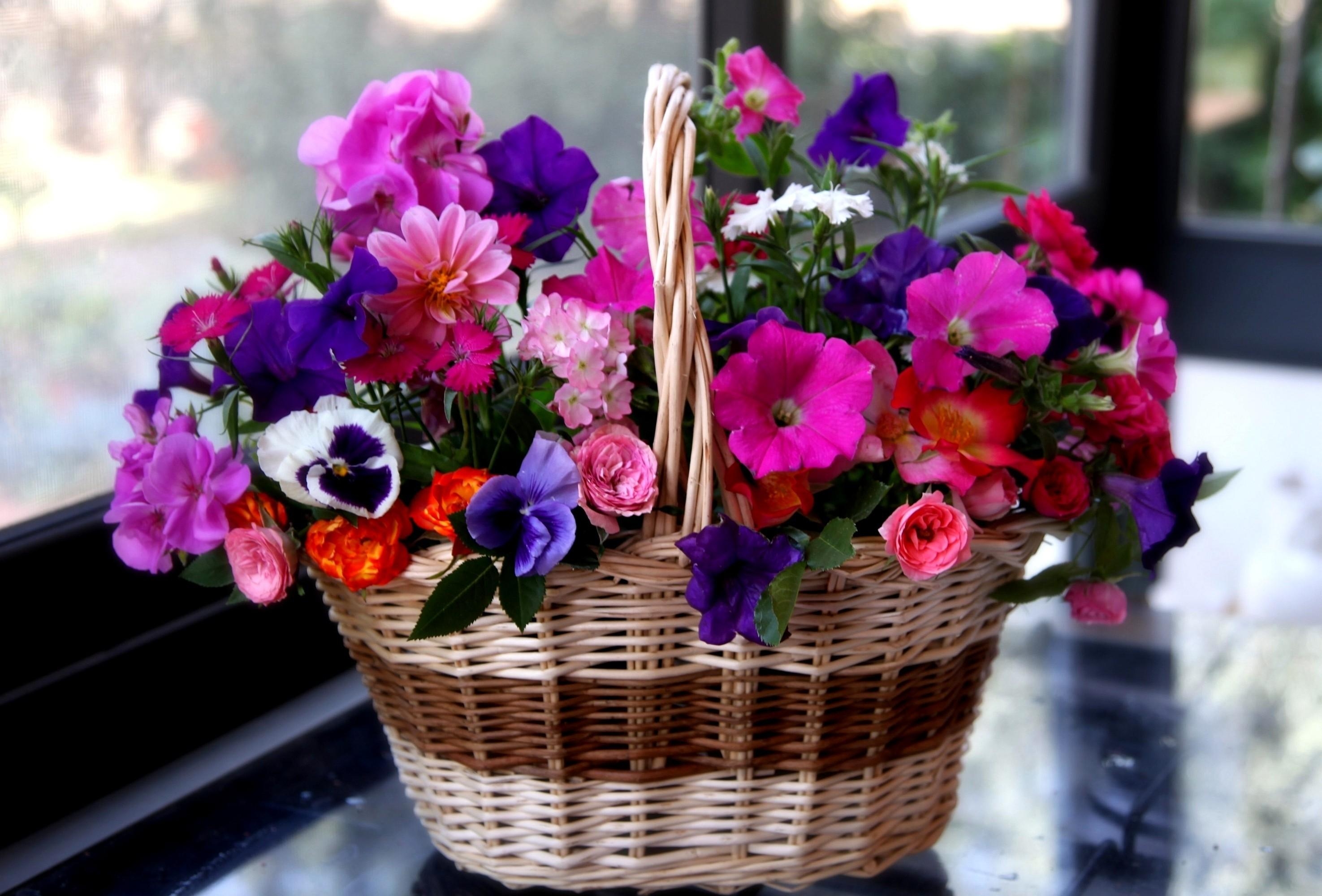 143499 download wallpaper flowers, roses, pansies, basket, different, geranium, petunia screensavers and pictures for free