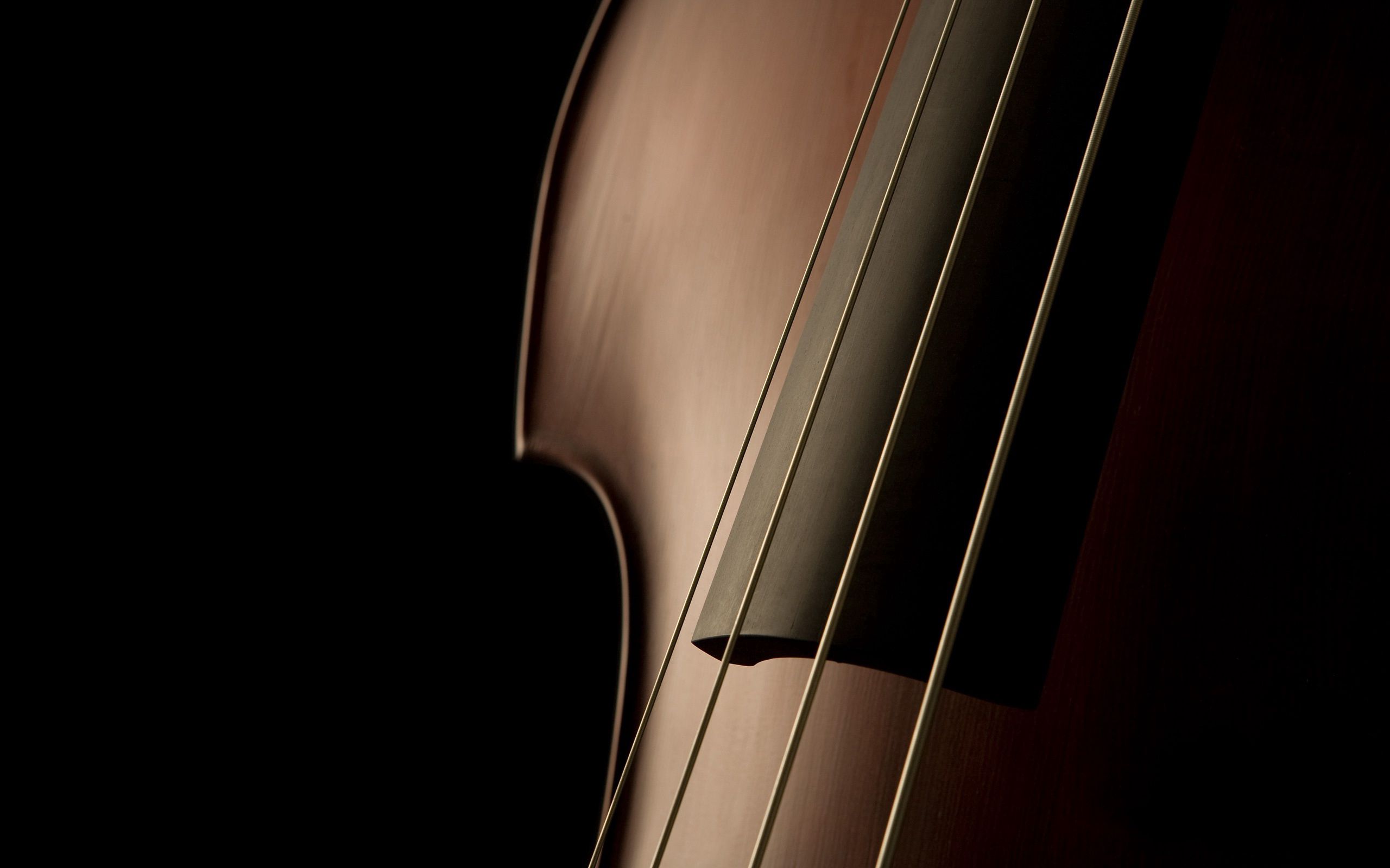 Wallpaper for mobile devices violin, dark, exquisite, form