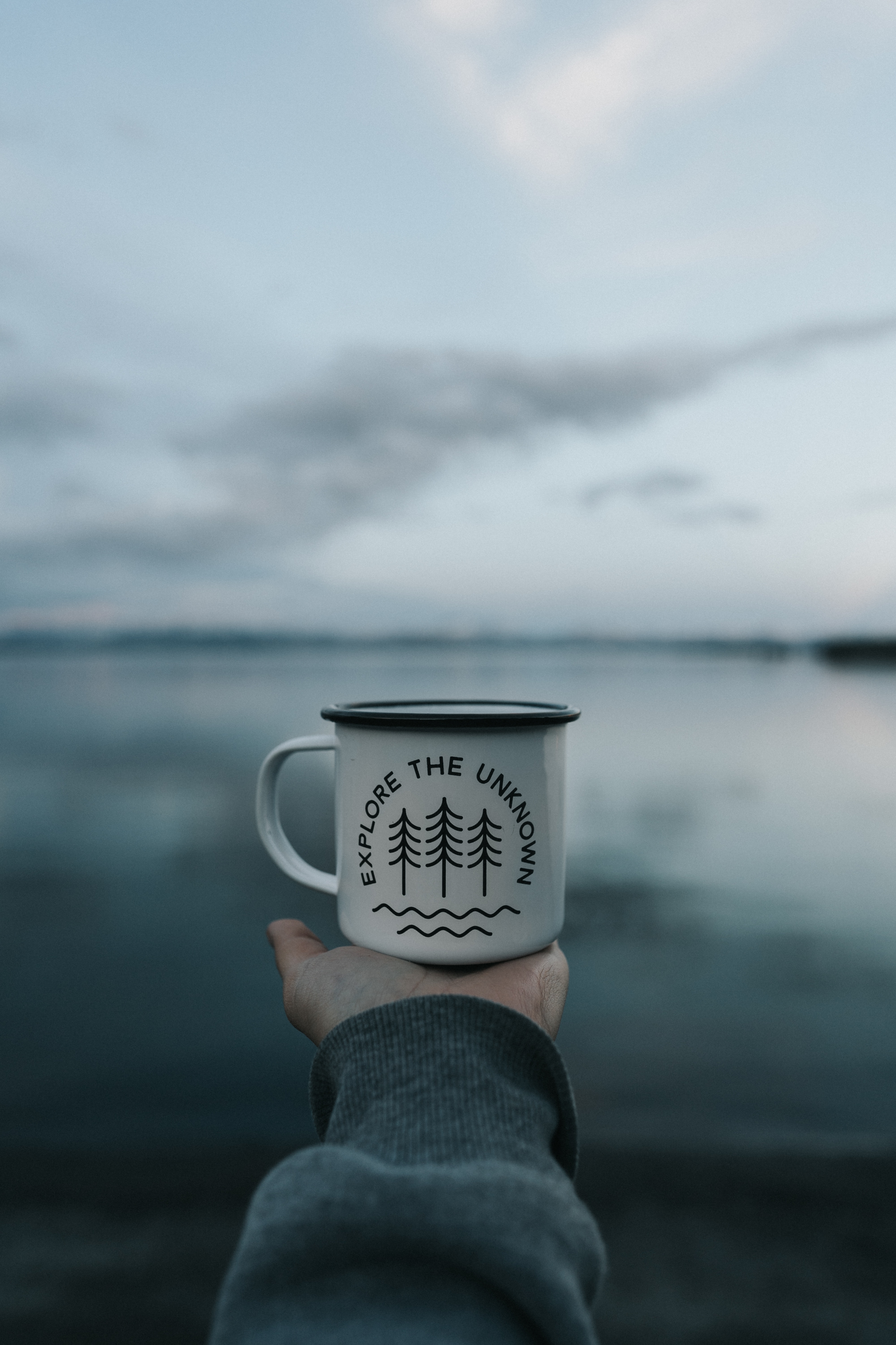 cup, inscription, words, nature, lake, hand, mug cellphone