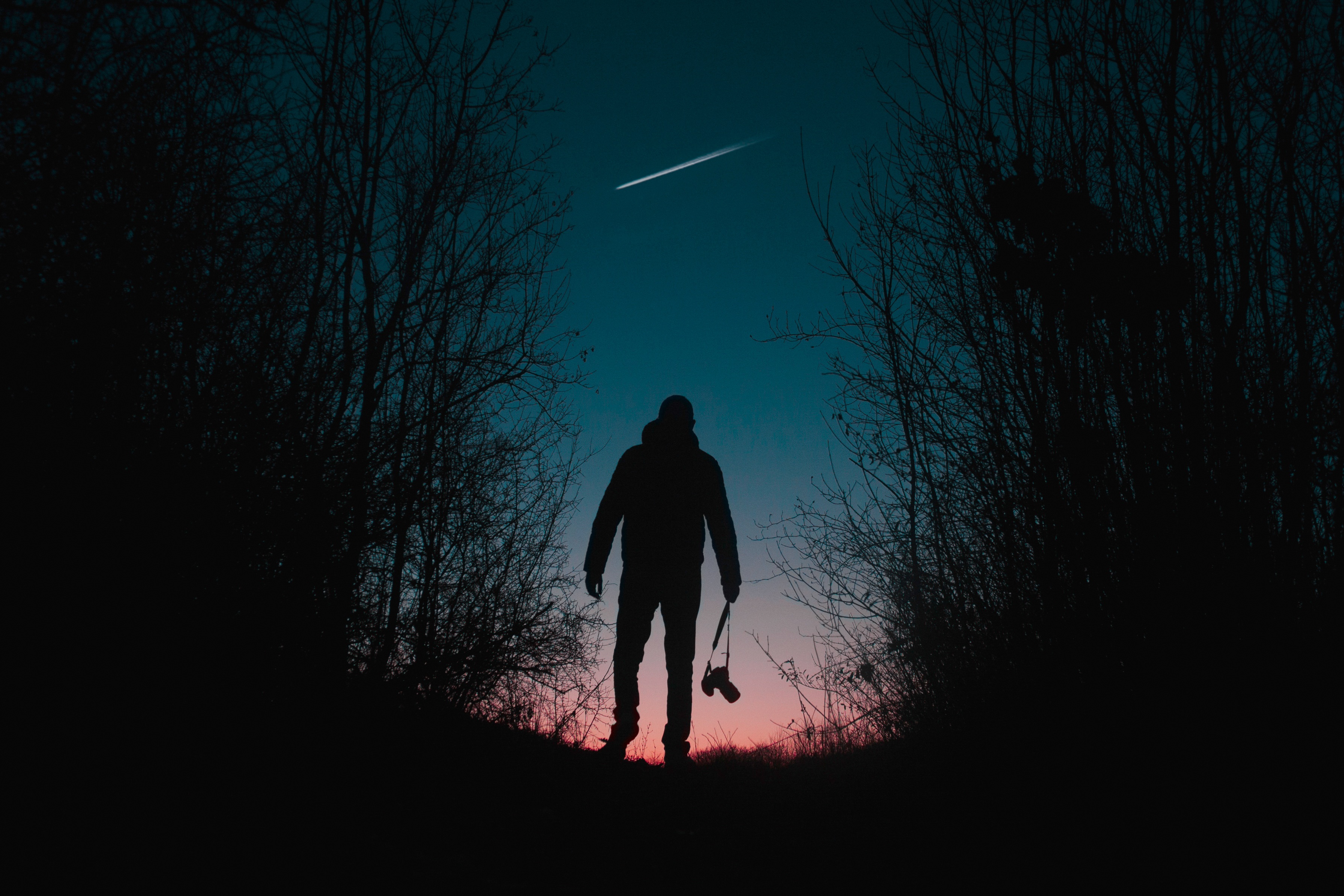 human, dark, night, silhouette, trees, person, camera Phone Background