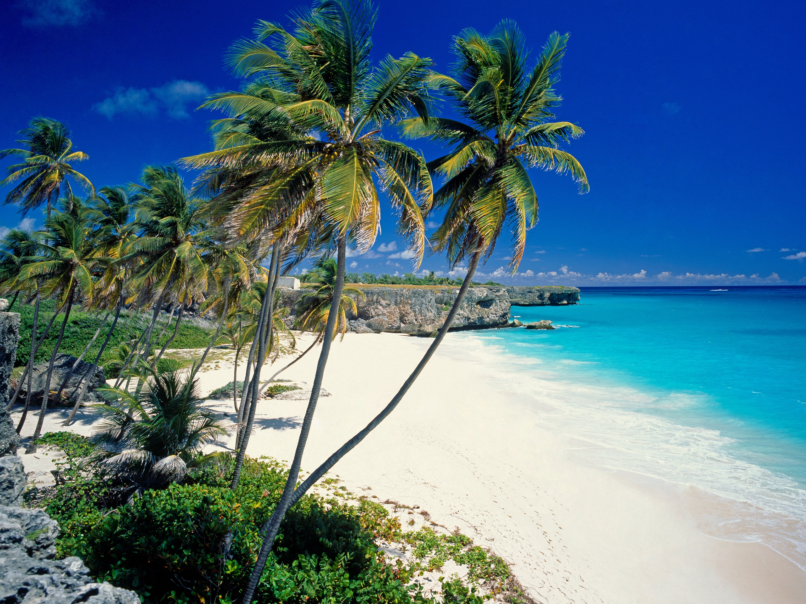 94640 Bild herunterladen palms, natur, sea, strand, sand, tropen, hübsch, es ist wunderschön - Hintergrundbilder und Bildschirmschoner kostenlos