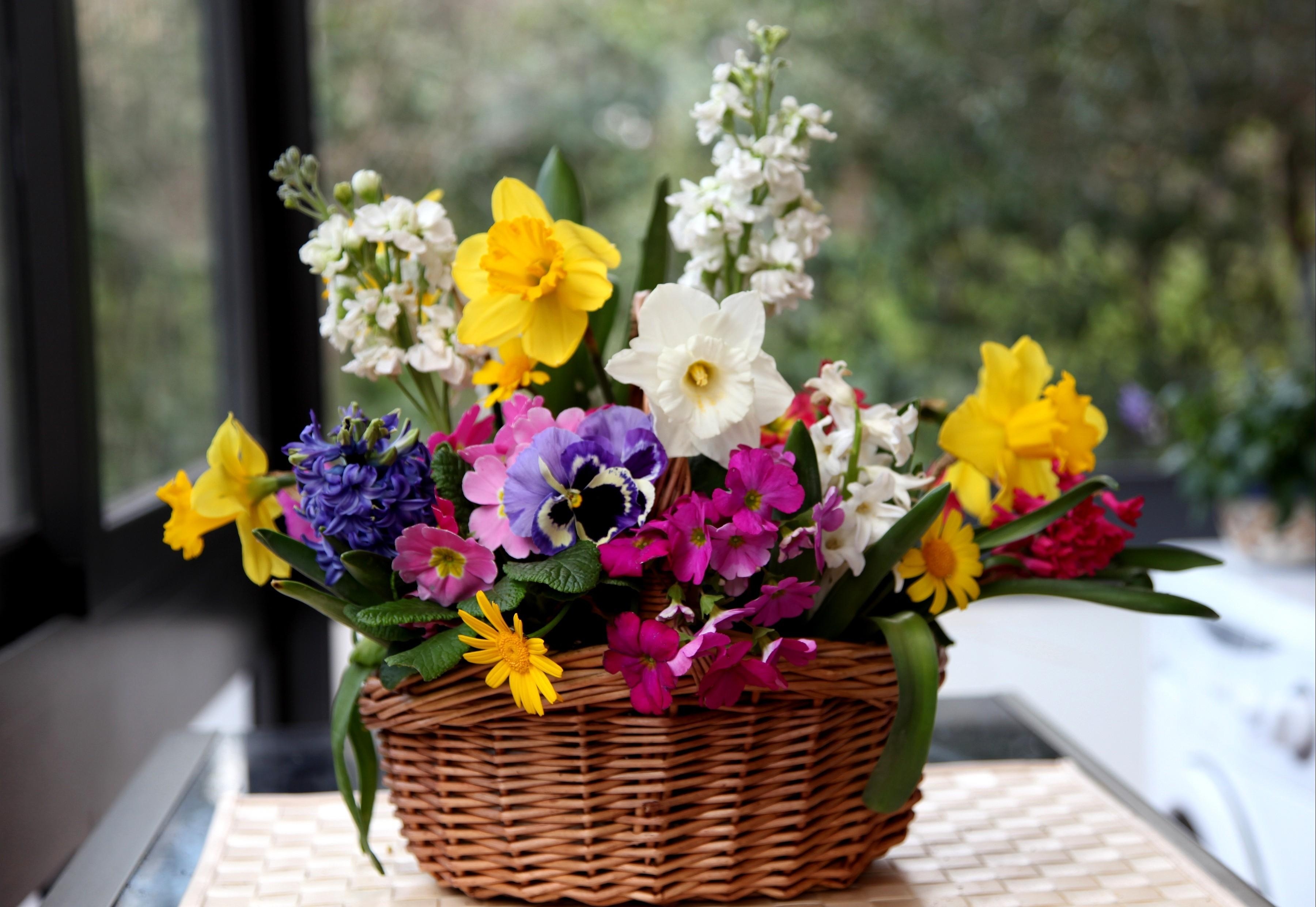 composition, flowers, basket, hyacinth Pansies HQ Background Images