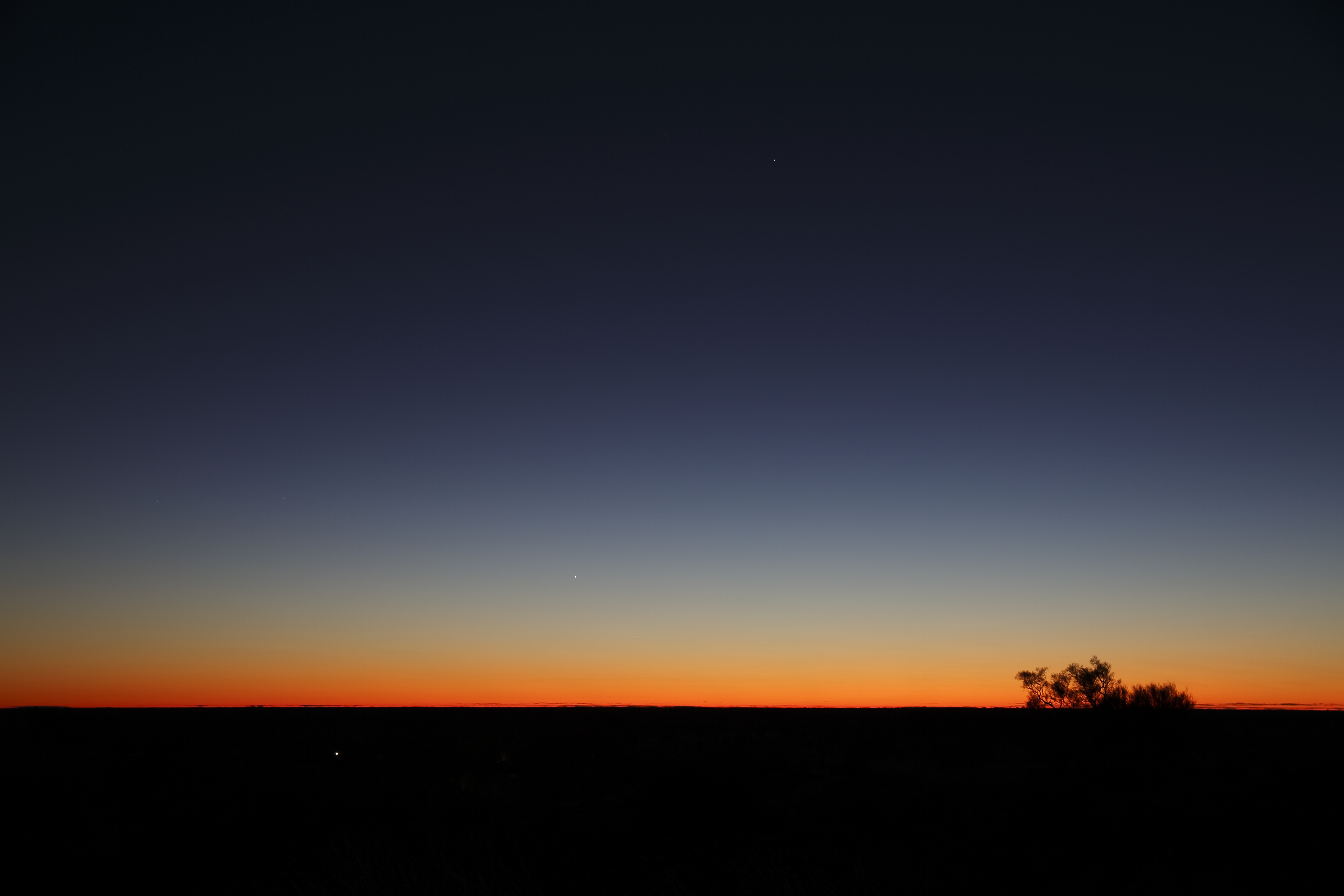 gradient, dark, sky, twilight, bush, horizon, dusk Smartphone Background