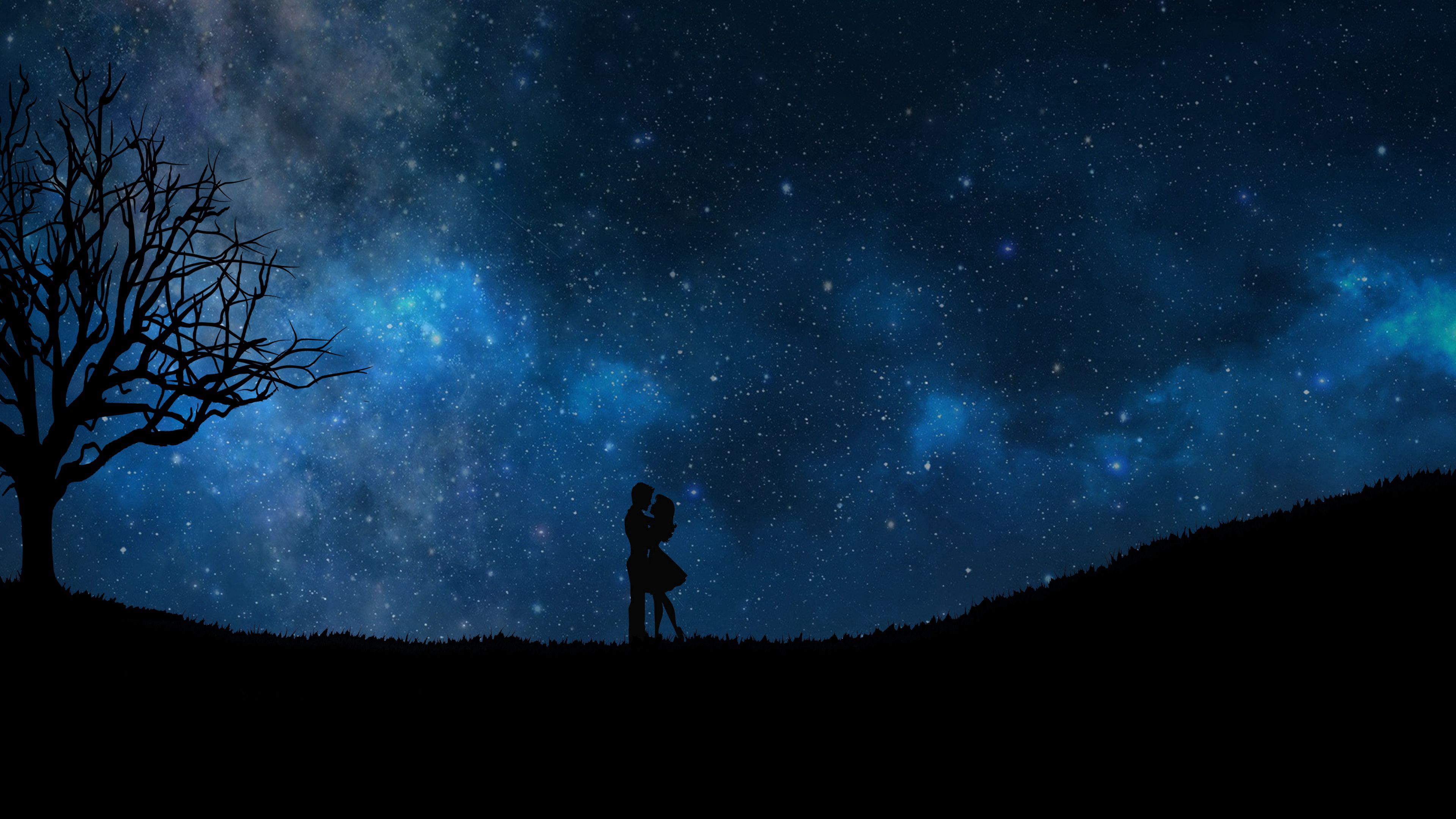 105753 download wallpaper love, vector, couple, pair, silhouettes, starry sky screensavers and pictures for free