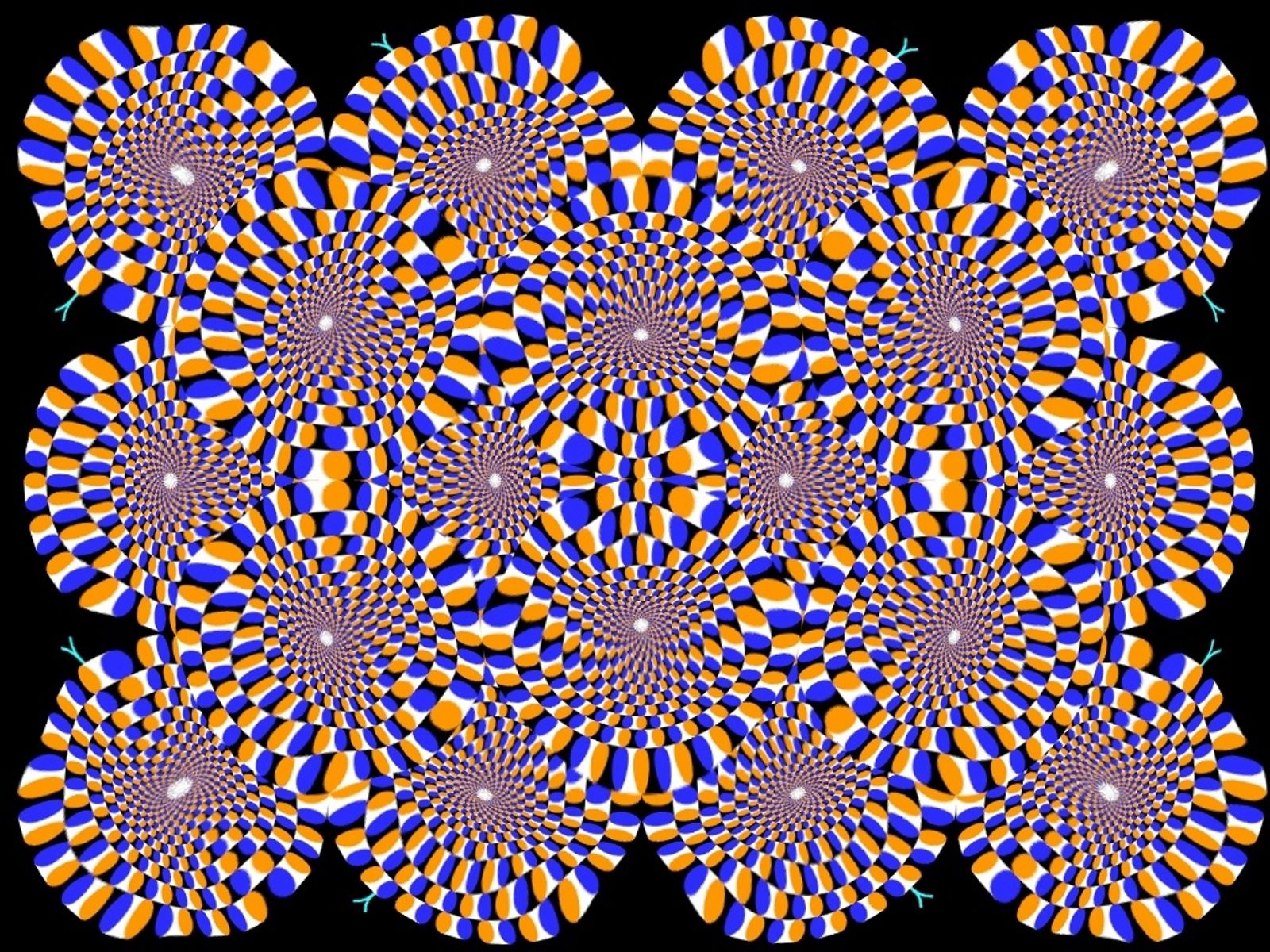 Immersion abstract, circles, optical illusion, rotation Free Stock Photos