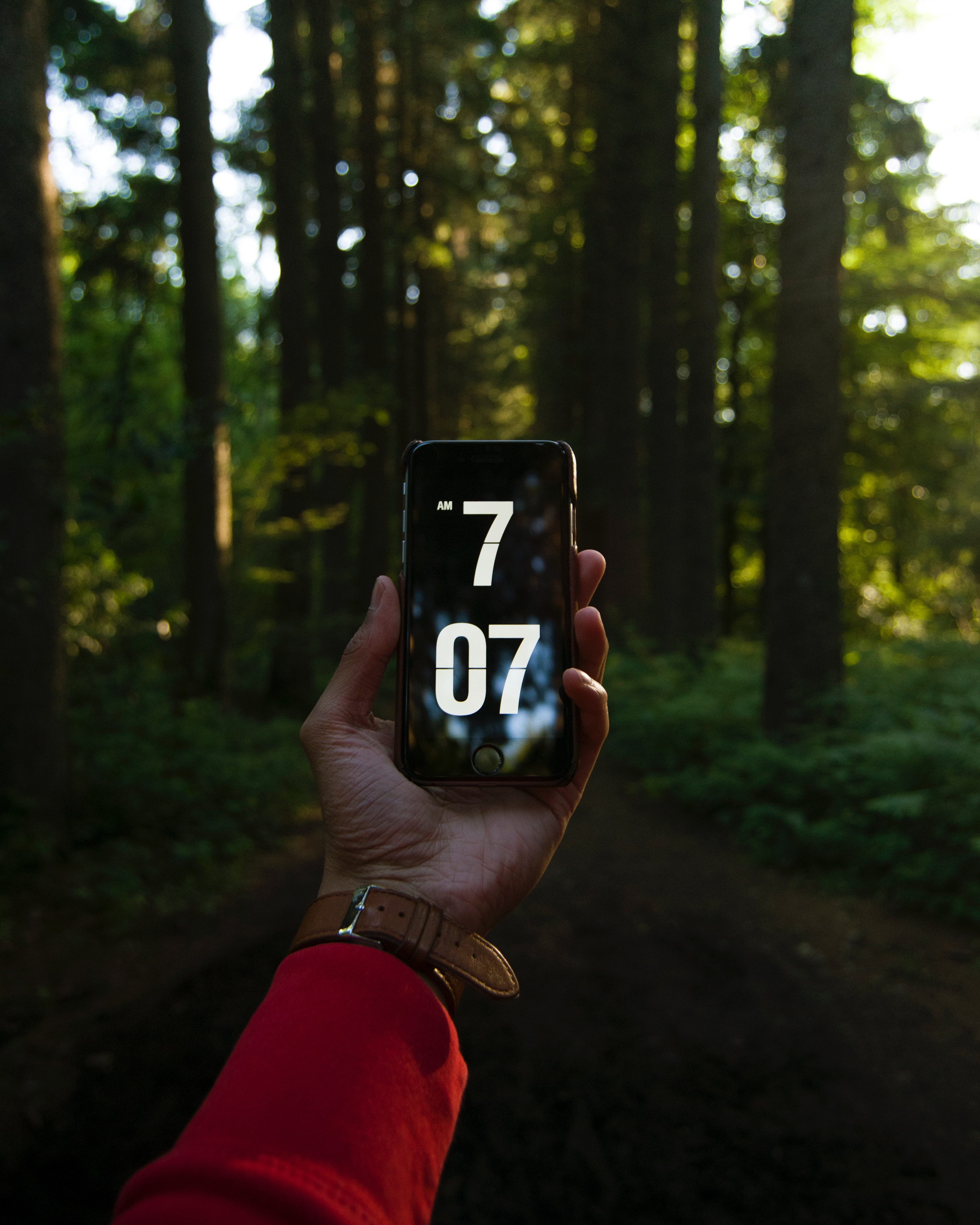 time, hand, forest, telephone Phone Wallpaper