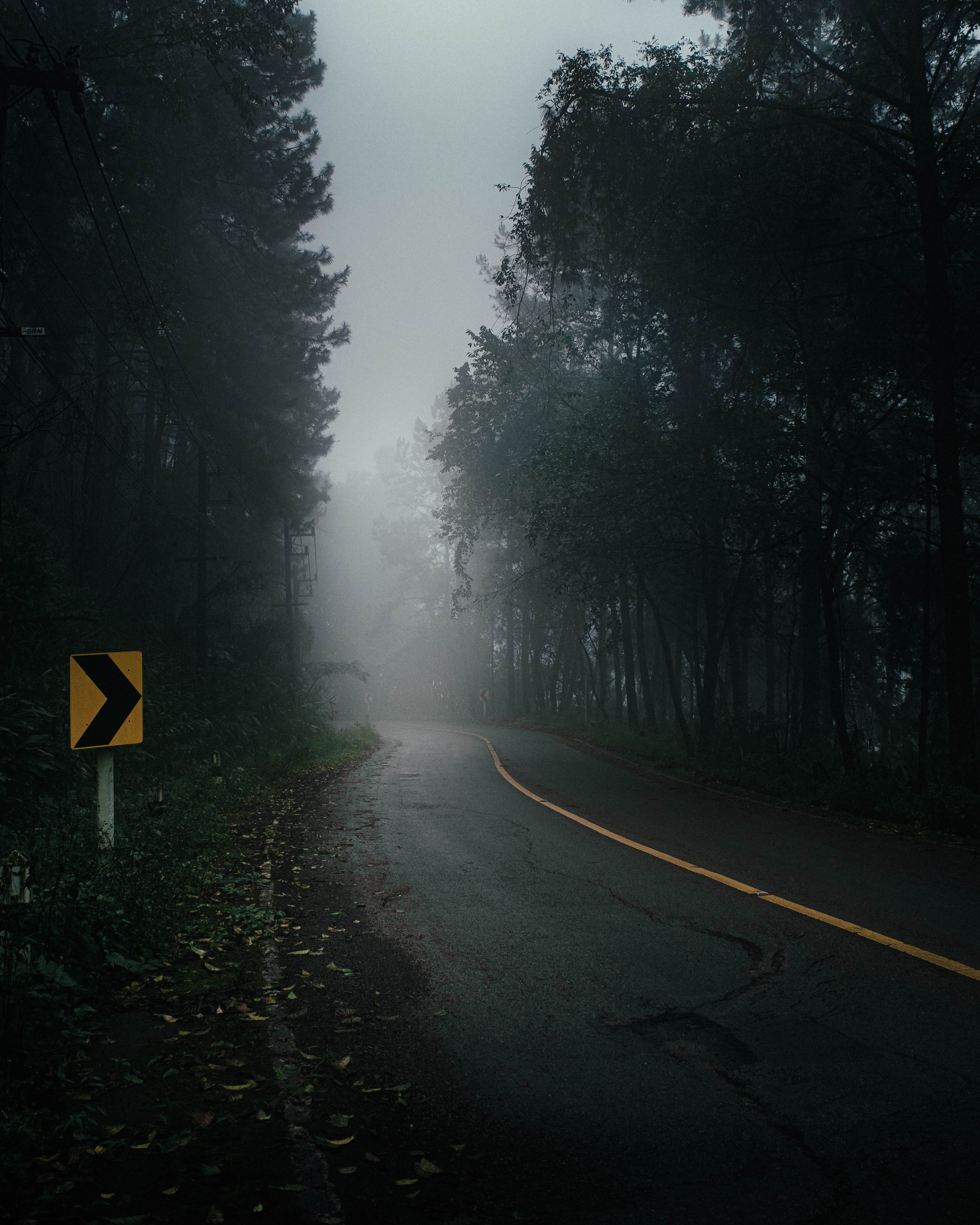 trees, darkness, road, fog, nature wallpaper for mobile