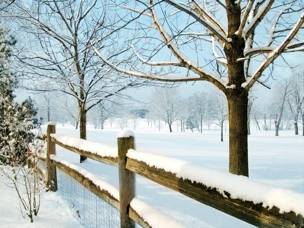 landscape, winter, trees, snow, turquoise 5K