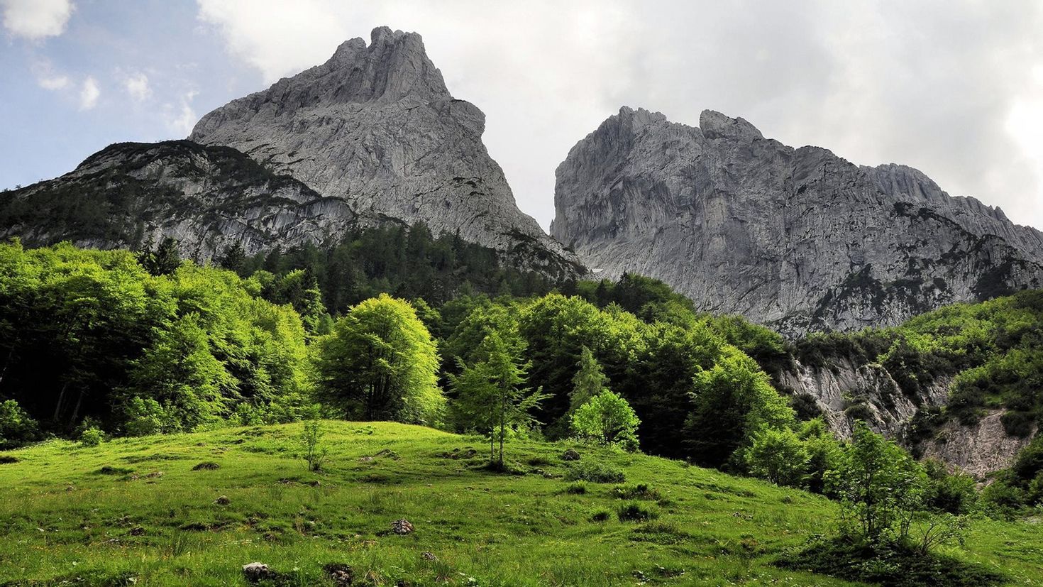 Горные леса Кавказа