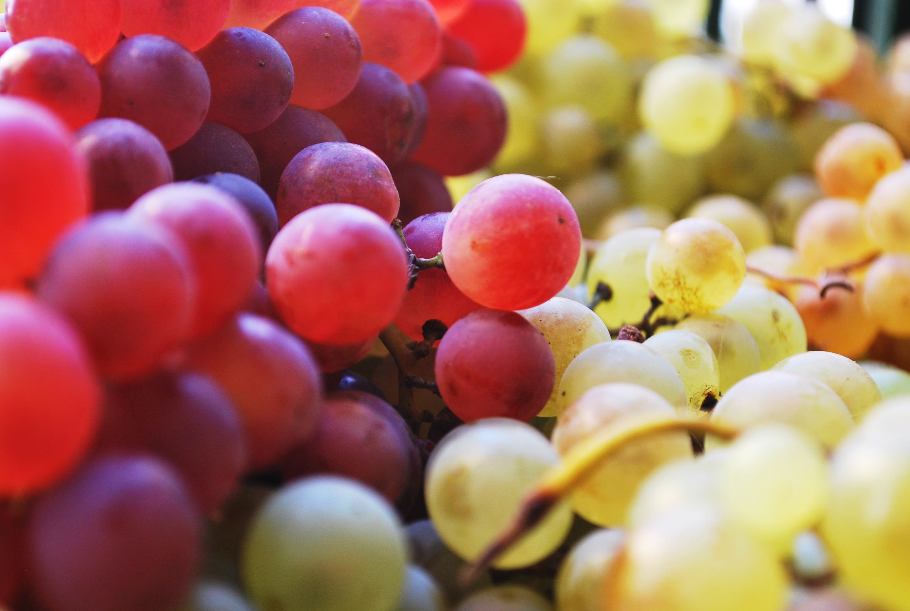 food, grapes, berries HD Phone wallpaper