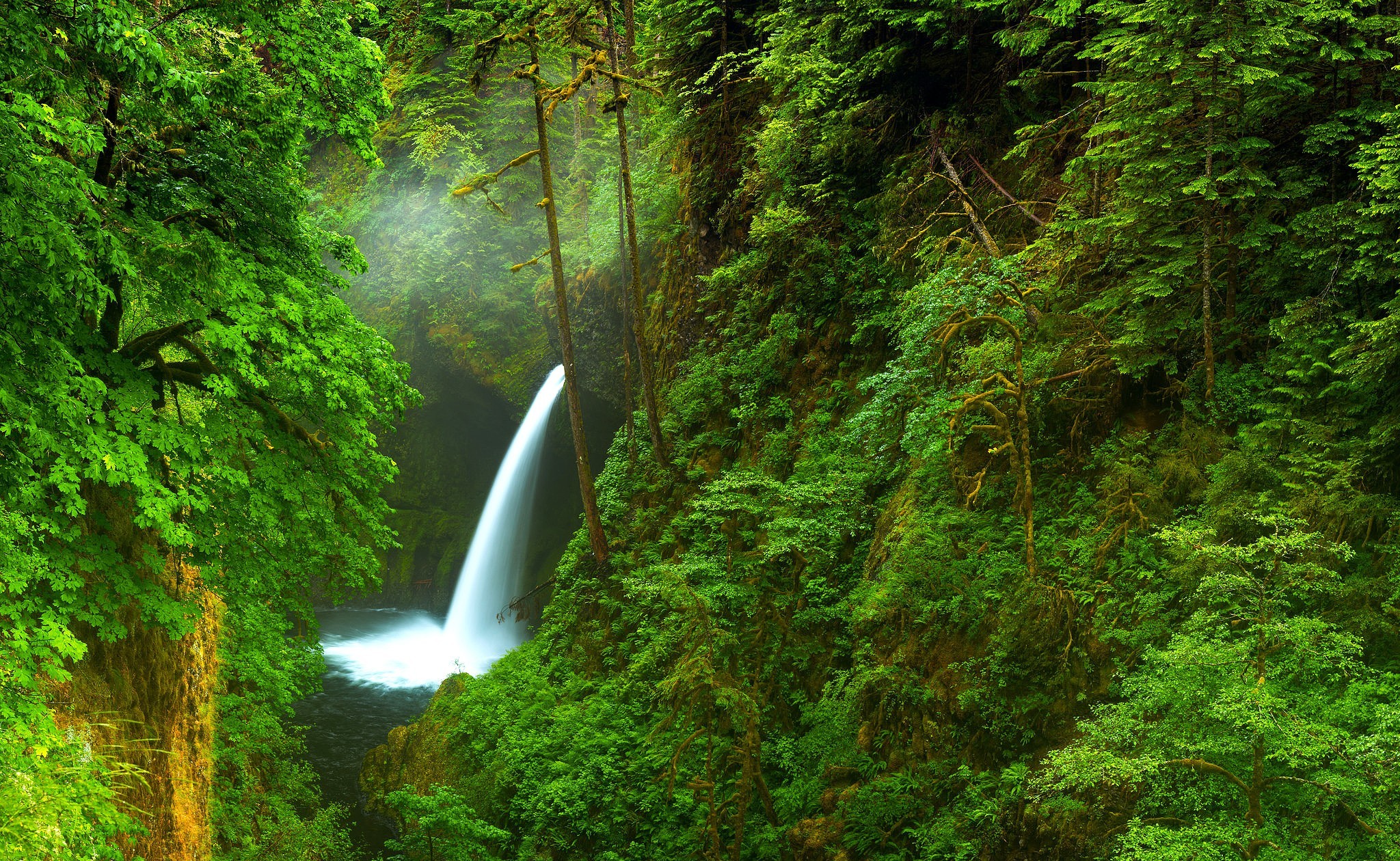 earth, waterfall, creek, forest, waterfalls HD wallpaper