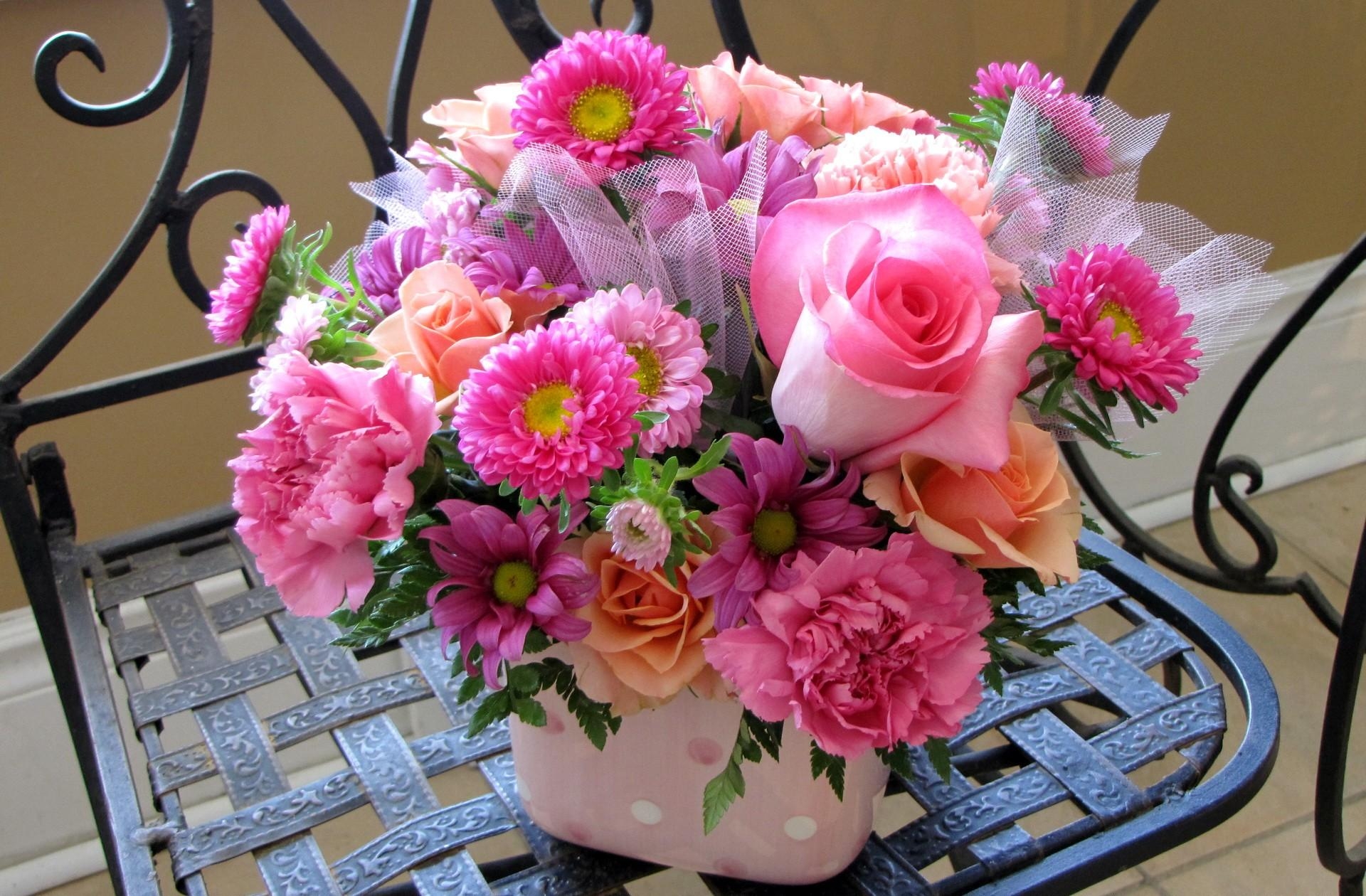 Laden Sie das Blumen, Roses, Nelken, Der Stuhl, Stuhl, Komposition, Zusammensetzung, Astern-Bild kostenlos auf Ihren PC-Desktop herunter