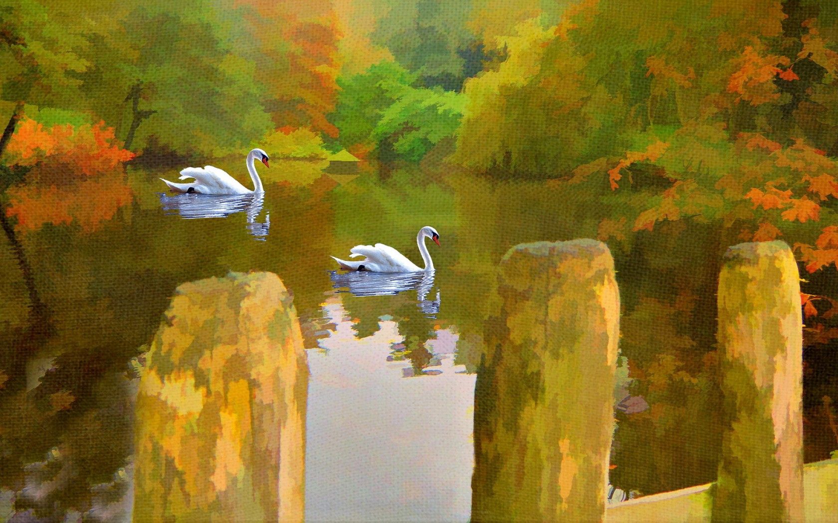 Laden Sie das Swans, See, Verschiedenes, Sonstige, Bild-Bild kostenlos auf Ihren PC-Desktop herunter