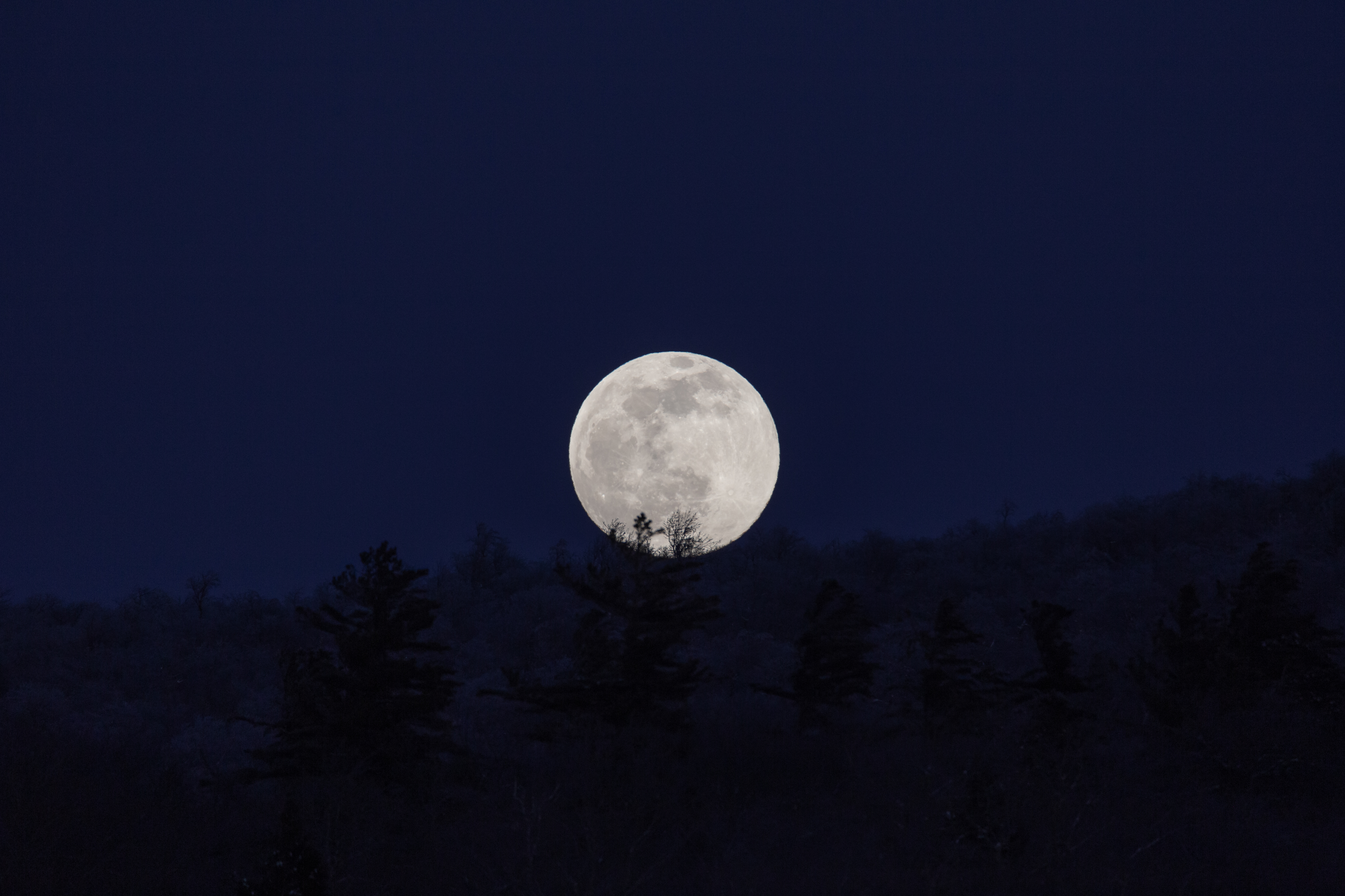 full moon, nature, night, moon, dark cellphone