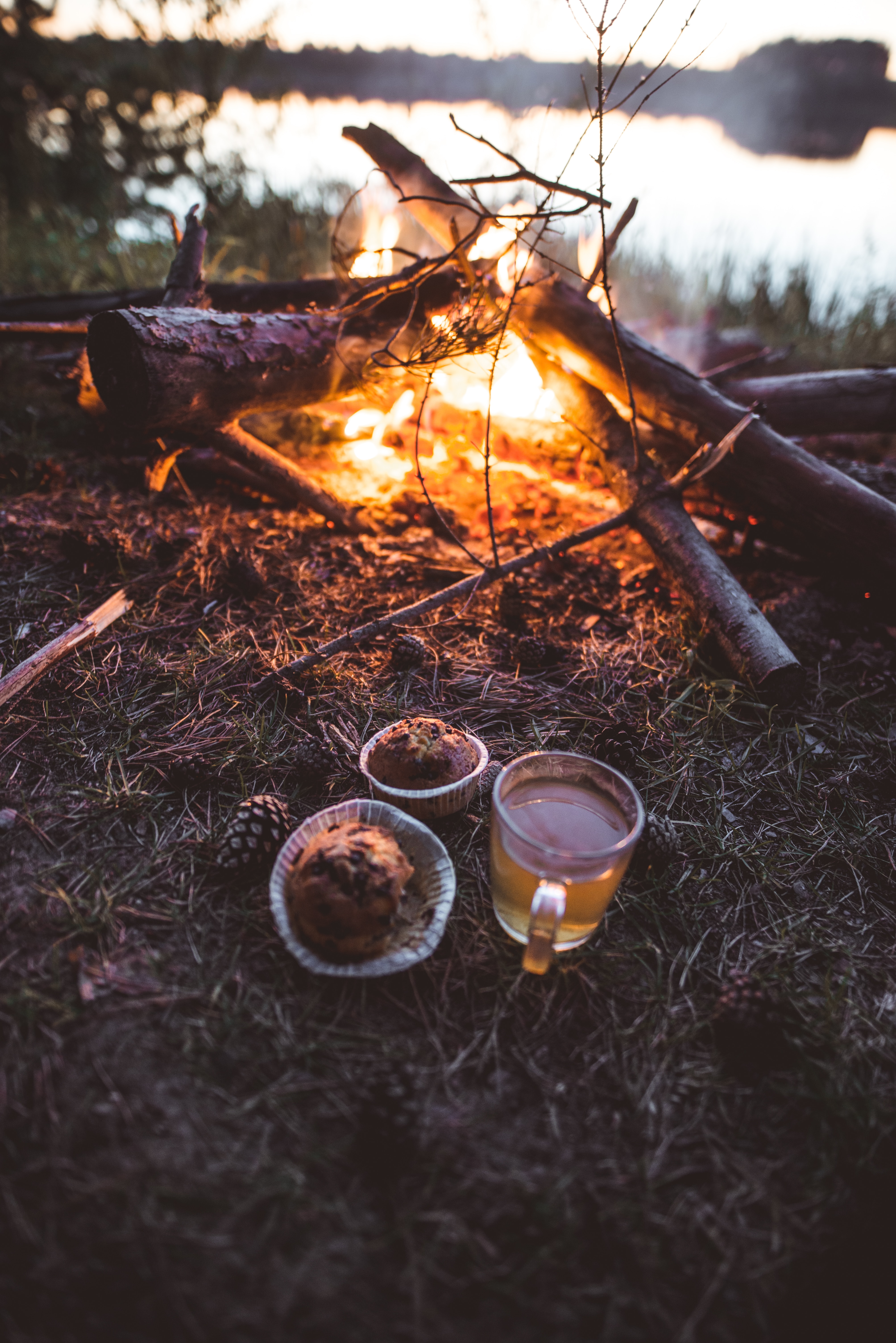 nature, bonfire, miscellanea, miscellaneous, cup, tea, mug, cupcakes