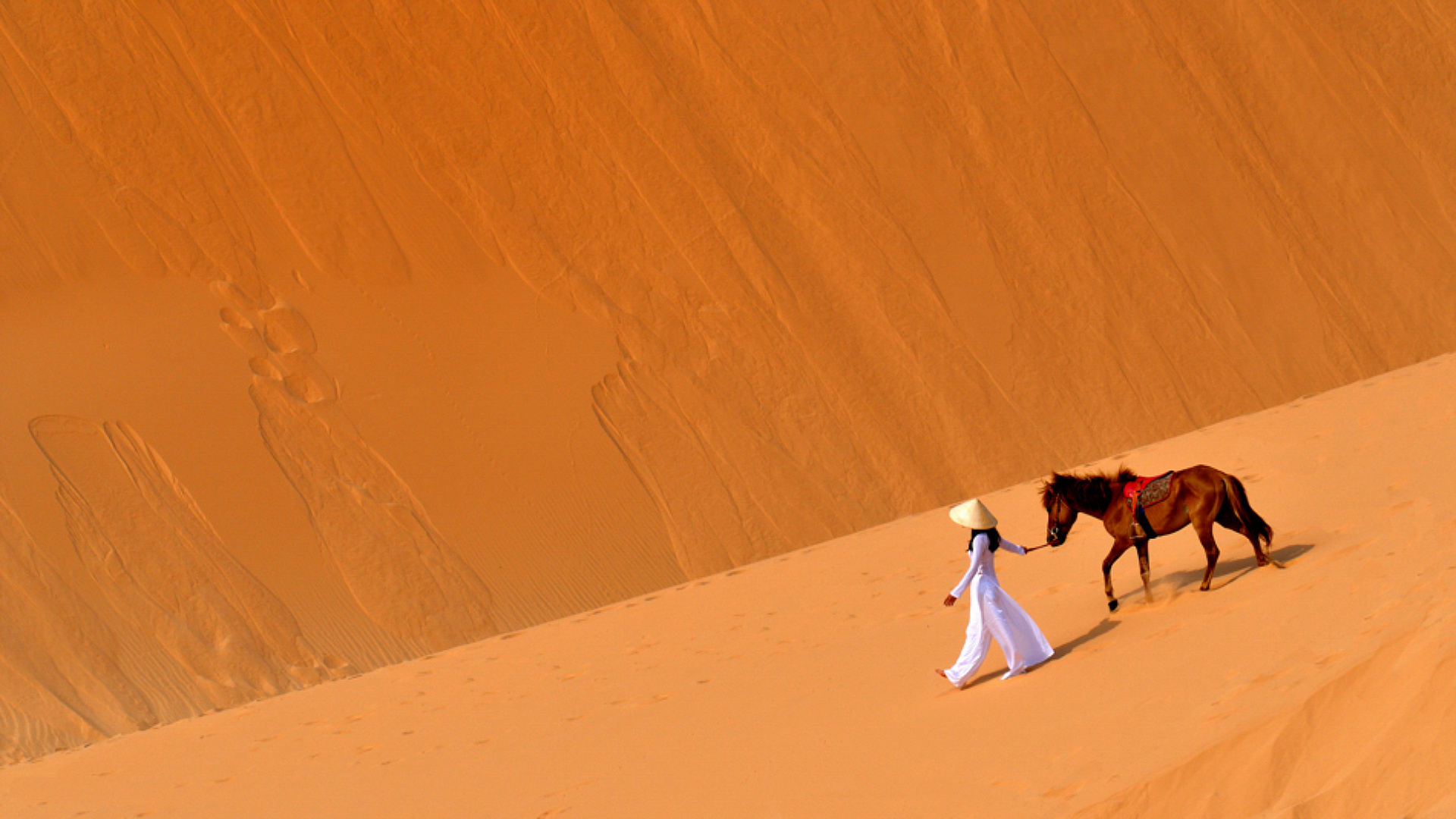 Девушка на лошади в пустыне