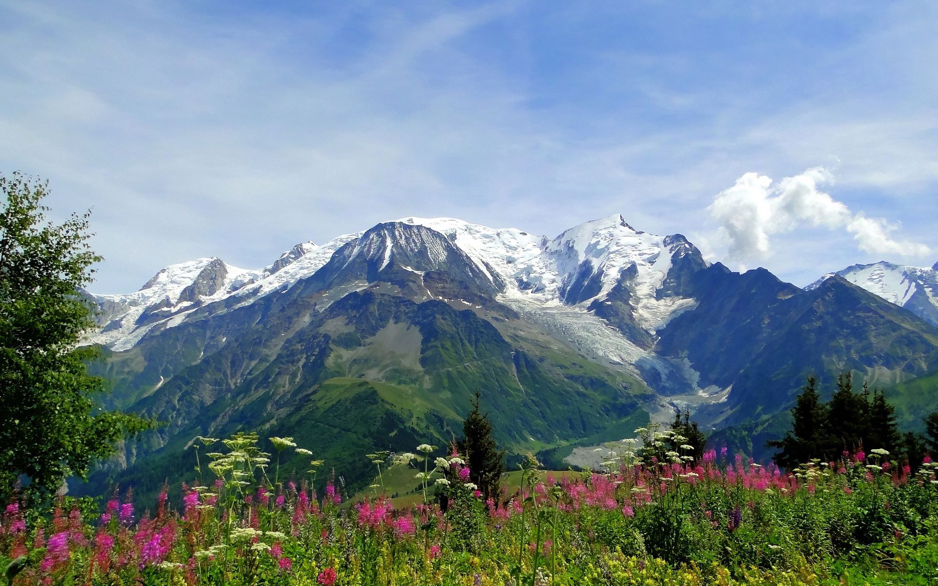 alps, nature, flowers, mountains, summer, vertex, freshness, tops