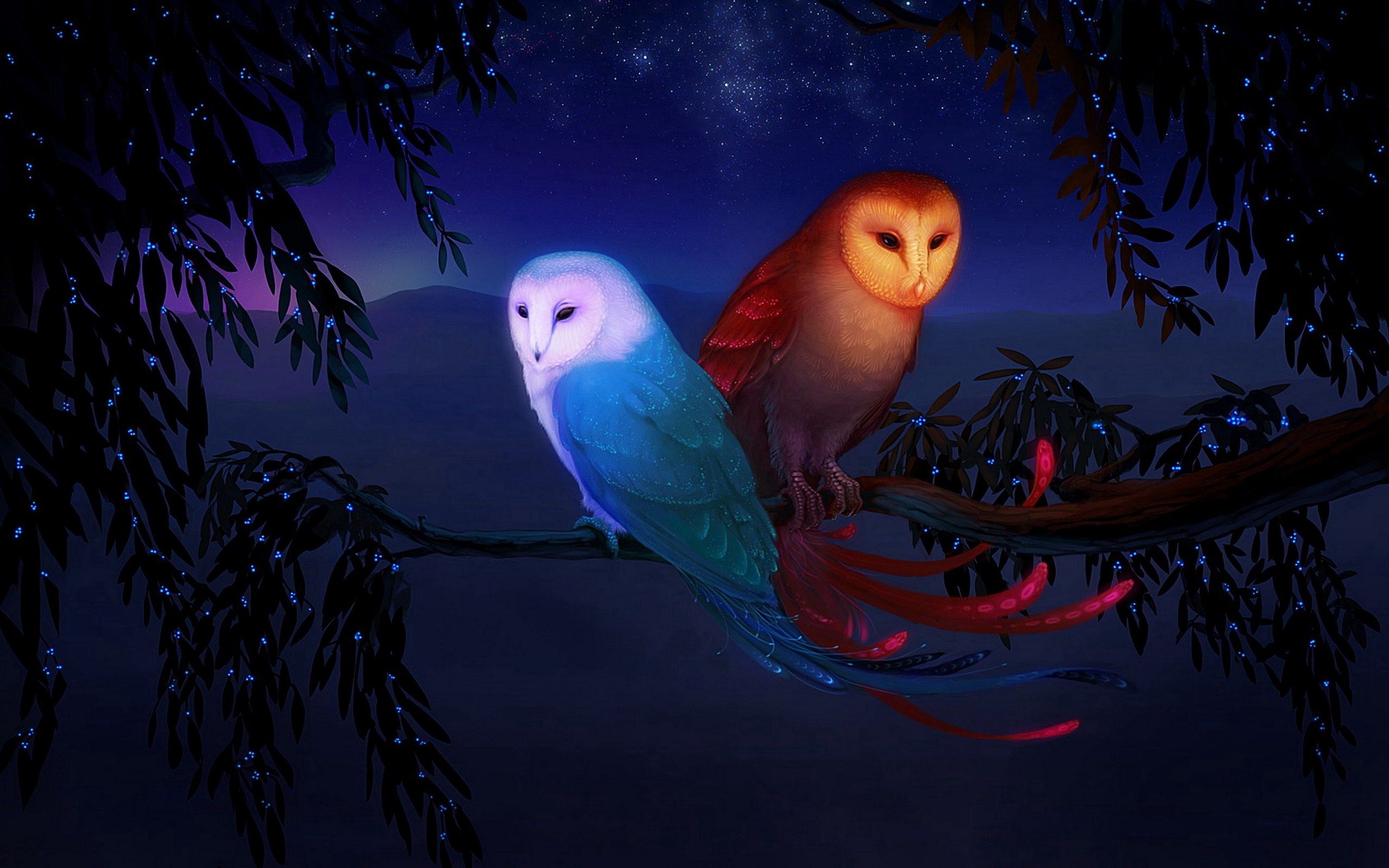 iPhone background birds, night, art, owl