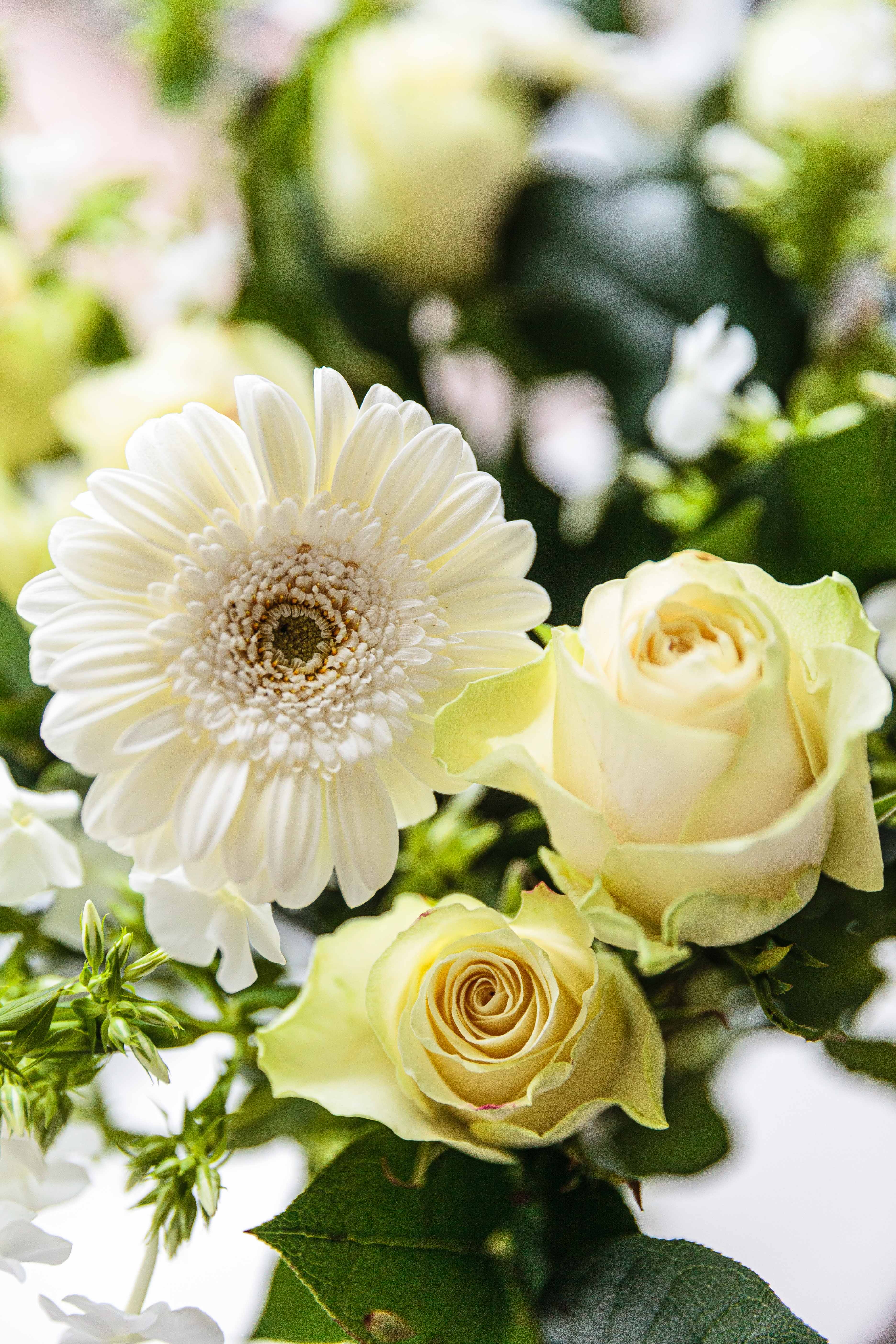 Laden Sie das Pflanzen, Blumen, Blühen, Blühenden, Strauß, Bouquet-Bild kostenlos auf Ihren PC-Desktop herunter