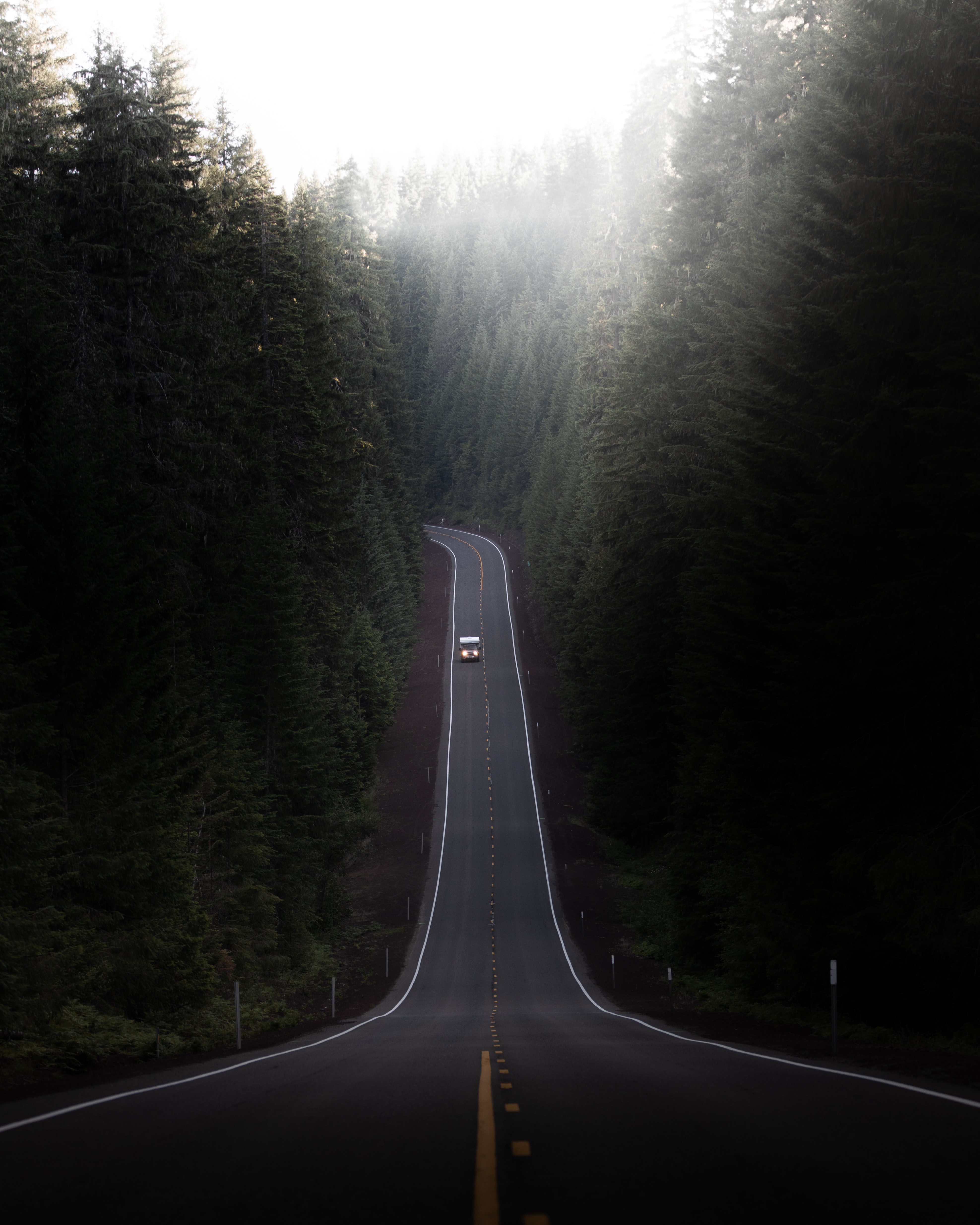 nature, trees, hill, car home screen for smartphone